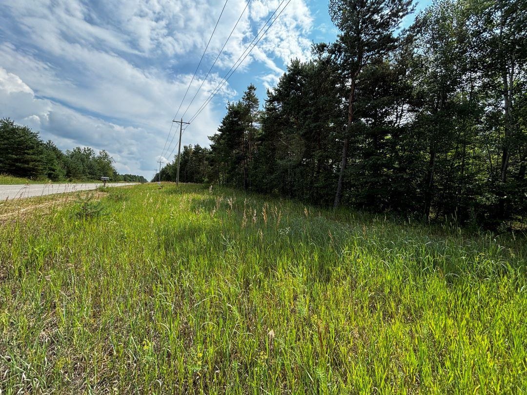 G Bailey Road, Unit LOT: G Mancelona, MI 49659 - Photo 8 of 8 Gallery Image 8