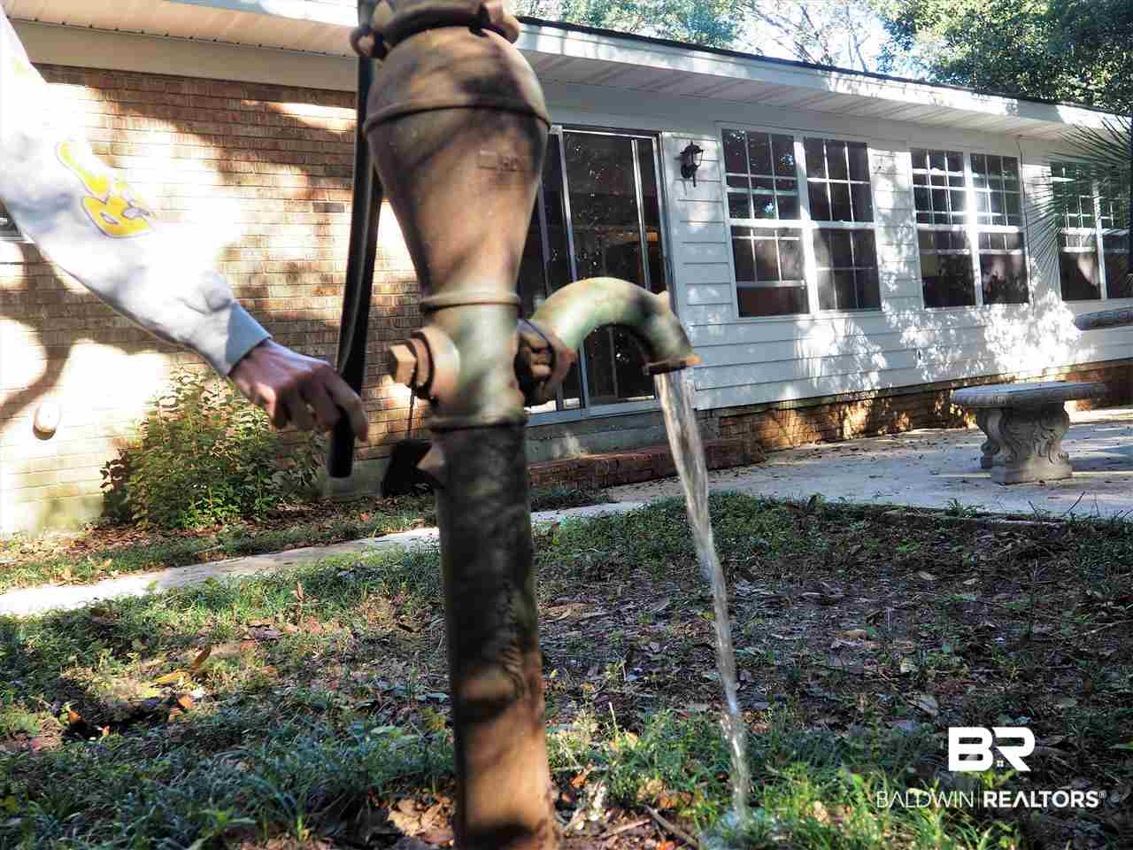 33420 Helms Lane Lillian, AL 36549 - Photo 8 of 35 Fresh water hand pump wel