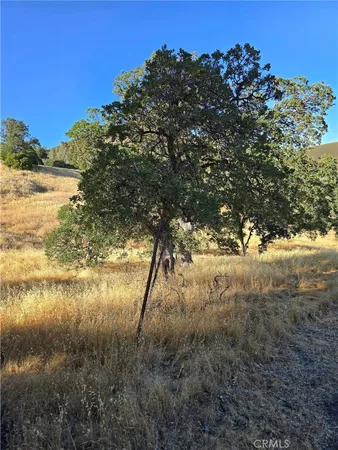 a view of lake with green space