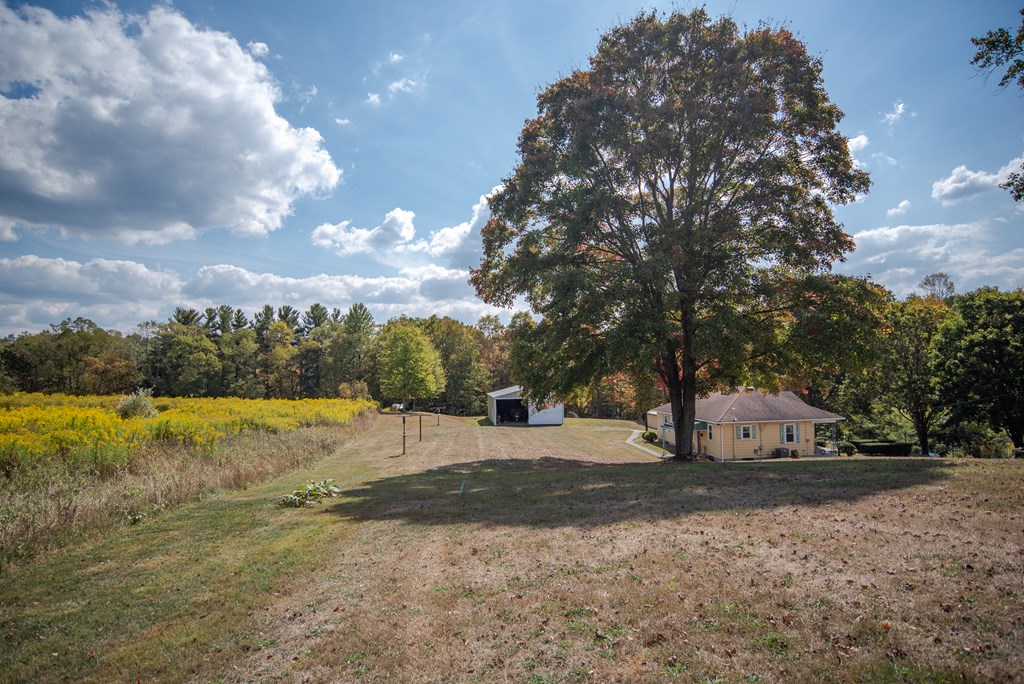 469 Terwilliger Road Parker, PA 16049 - Photo 26 of 47 a view of road with large trees