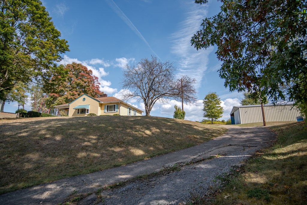 469 Terwilliger Road Parker, PA 16049 - Photo 35 of 47 a view of road with large trees