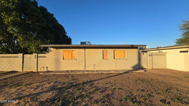 a view of large trees