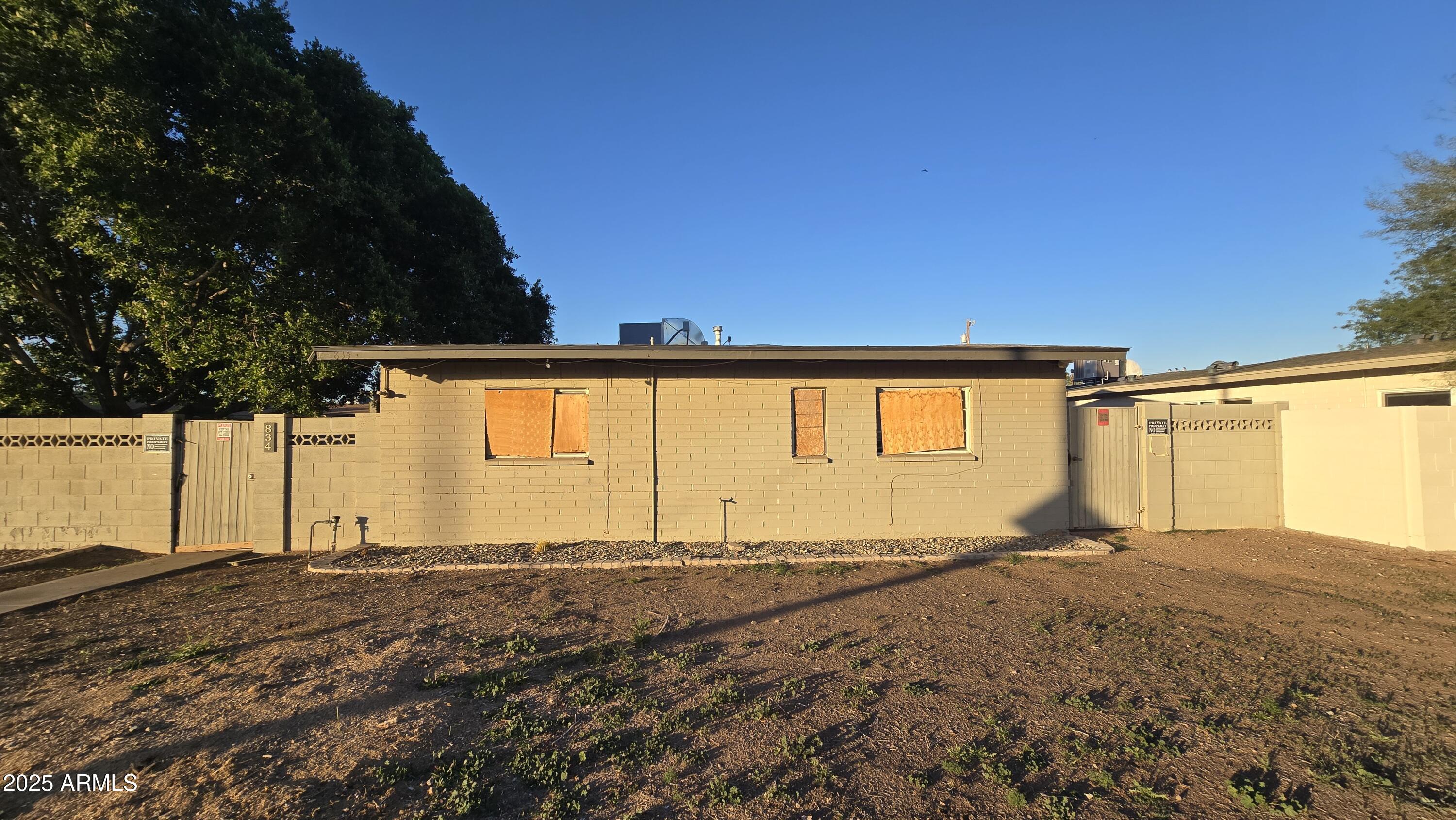 a view of large trees