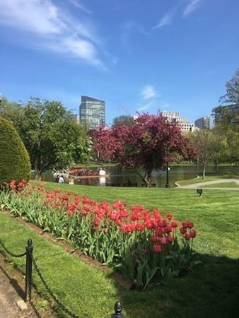 2 Beaver Street Boston, MA 02108 - Photo 14 of 14