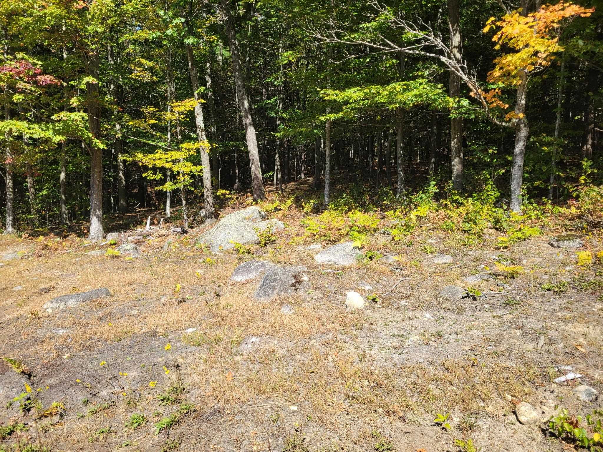 52 Duncan Road Hancock, NH 03449 - Photo 11 of 52