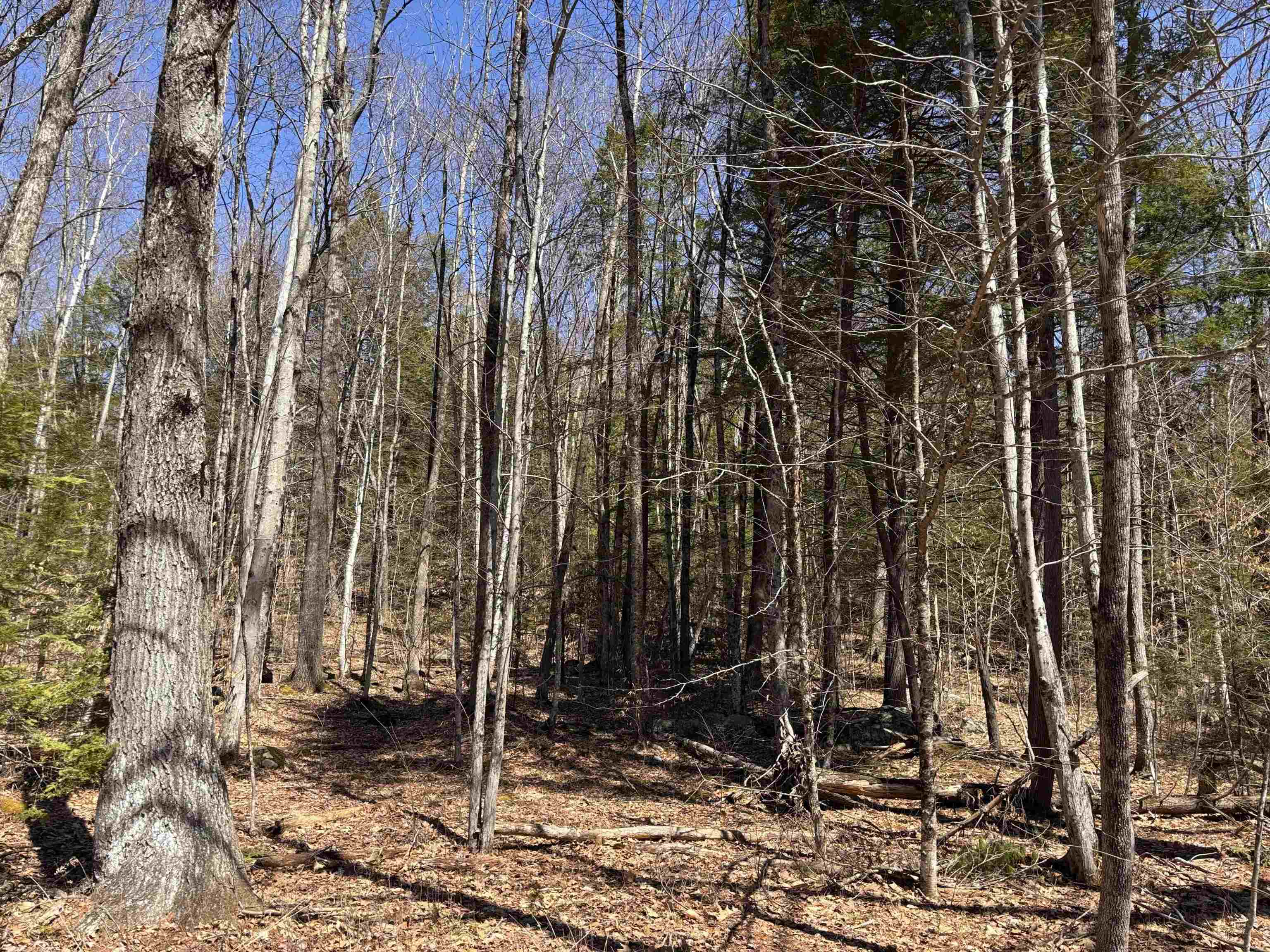 52 Duncan Road Hancock, NH 03449 - Photo 18 of 52