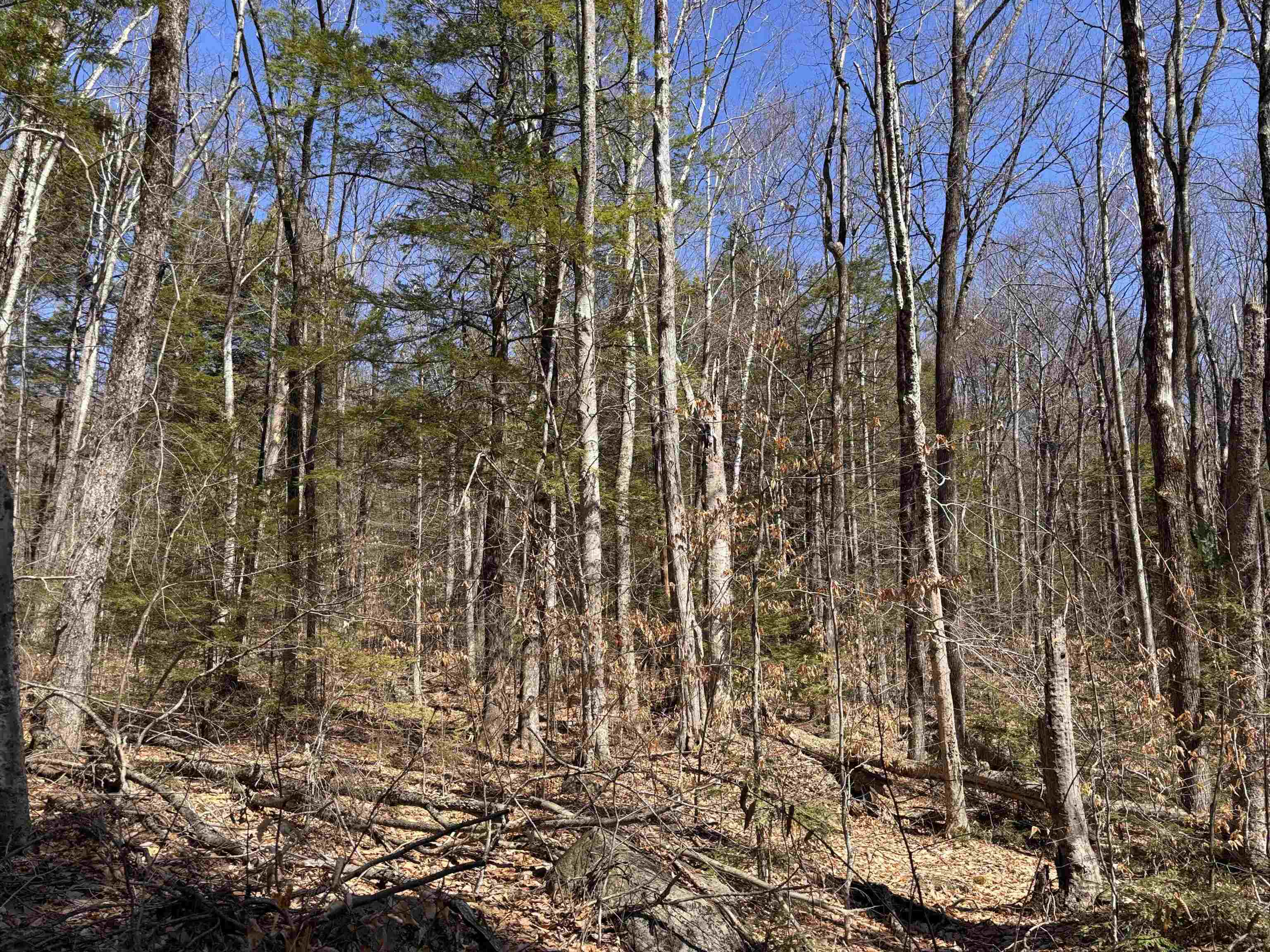 52 Duncan Road Hancock, NH 03449 - Photo 19 of 52