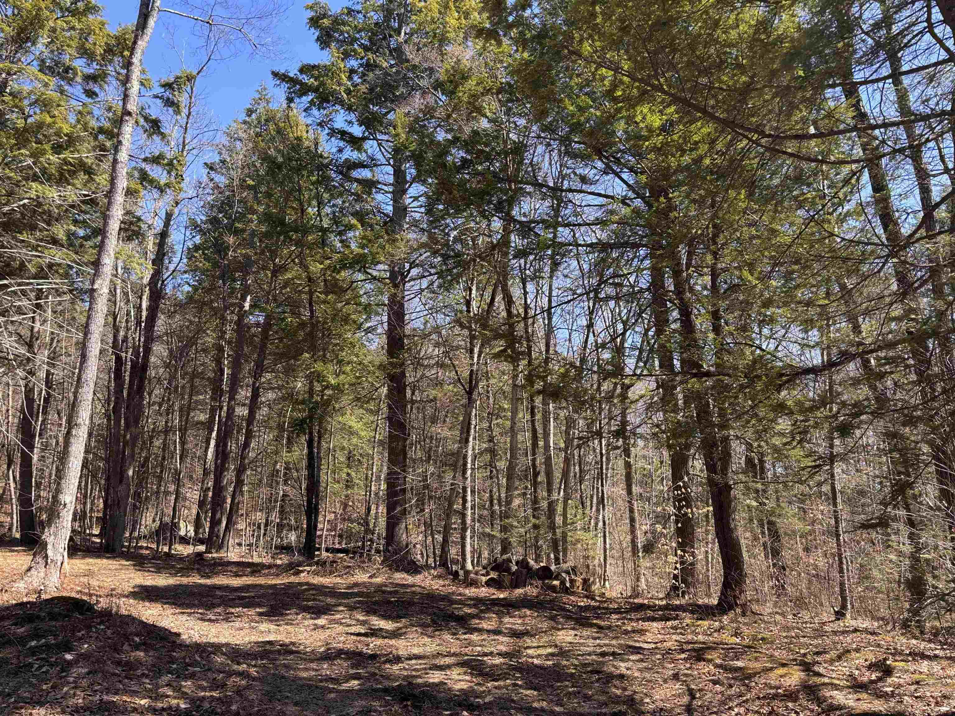 52 Duncan Road Hancock, NH 03449 - Photo 20 of 52