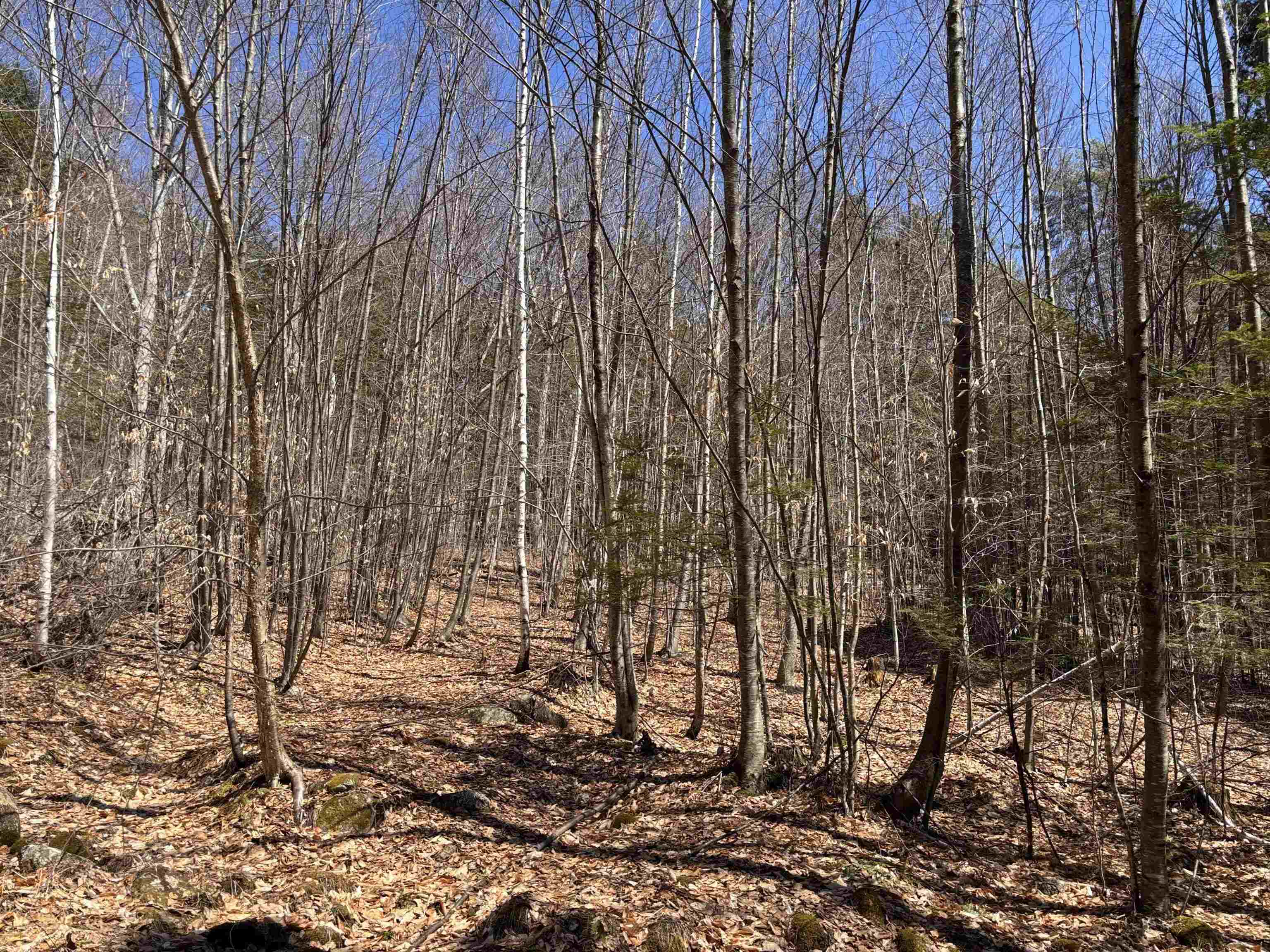 52 Duncan Road Hancock, NH 03449 - Photo 21 of 52