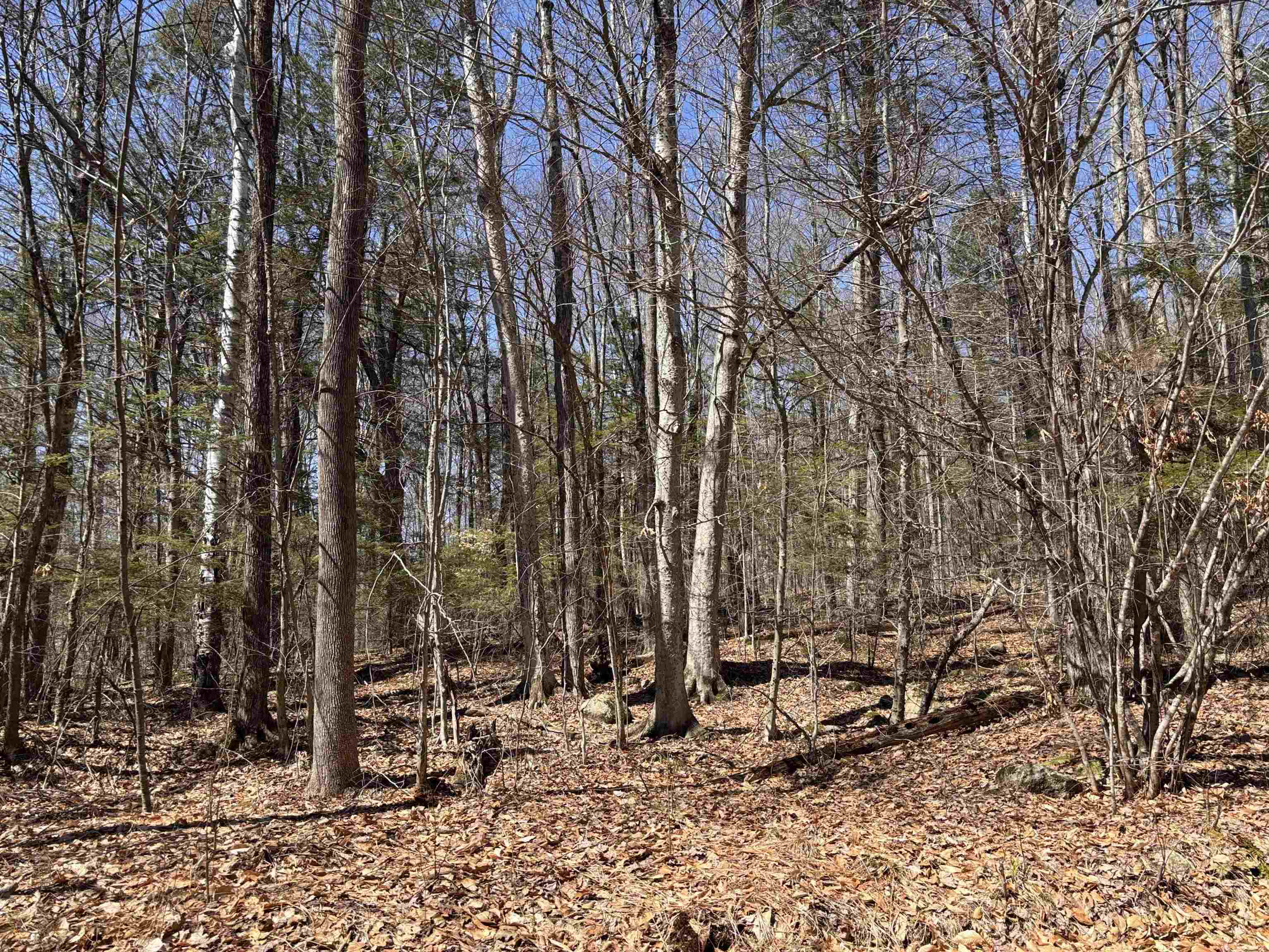 52 Duncan Road Hancock, NH 03449 - Photo 22 of 52