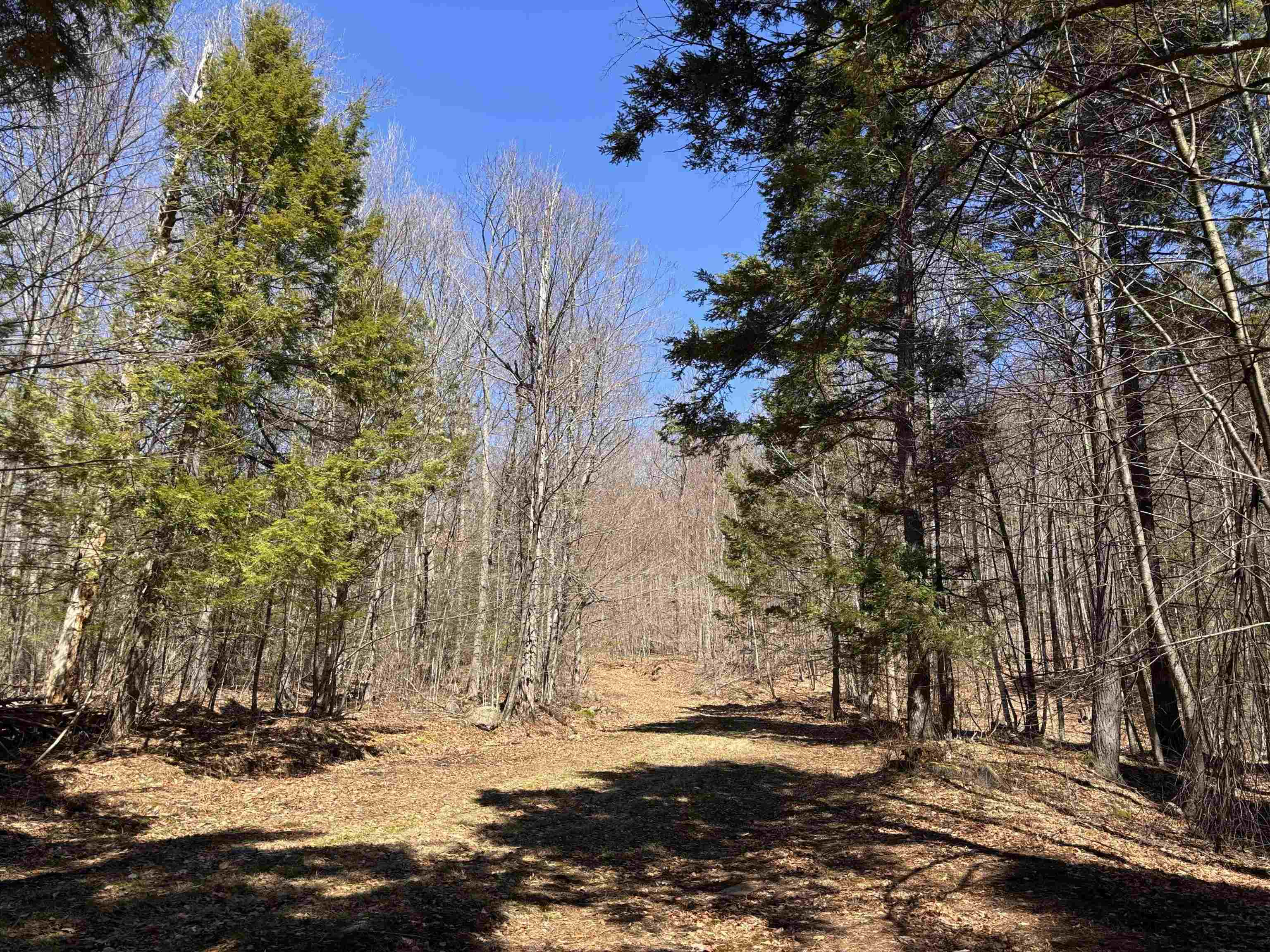 52 Duncan Road Hancock, NH 03449 - Photo 23 of 52