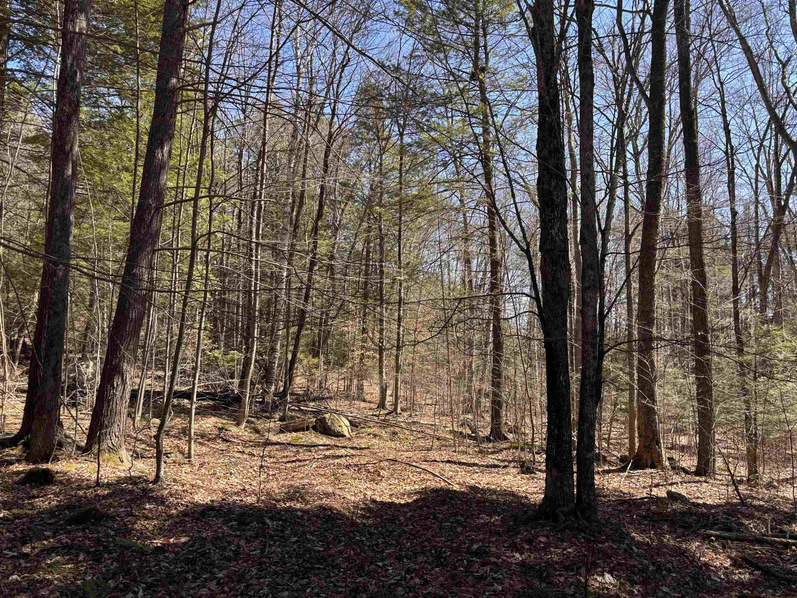 52 Duncan Road Hancock, NH 03449 - Photo 24 of 52