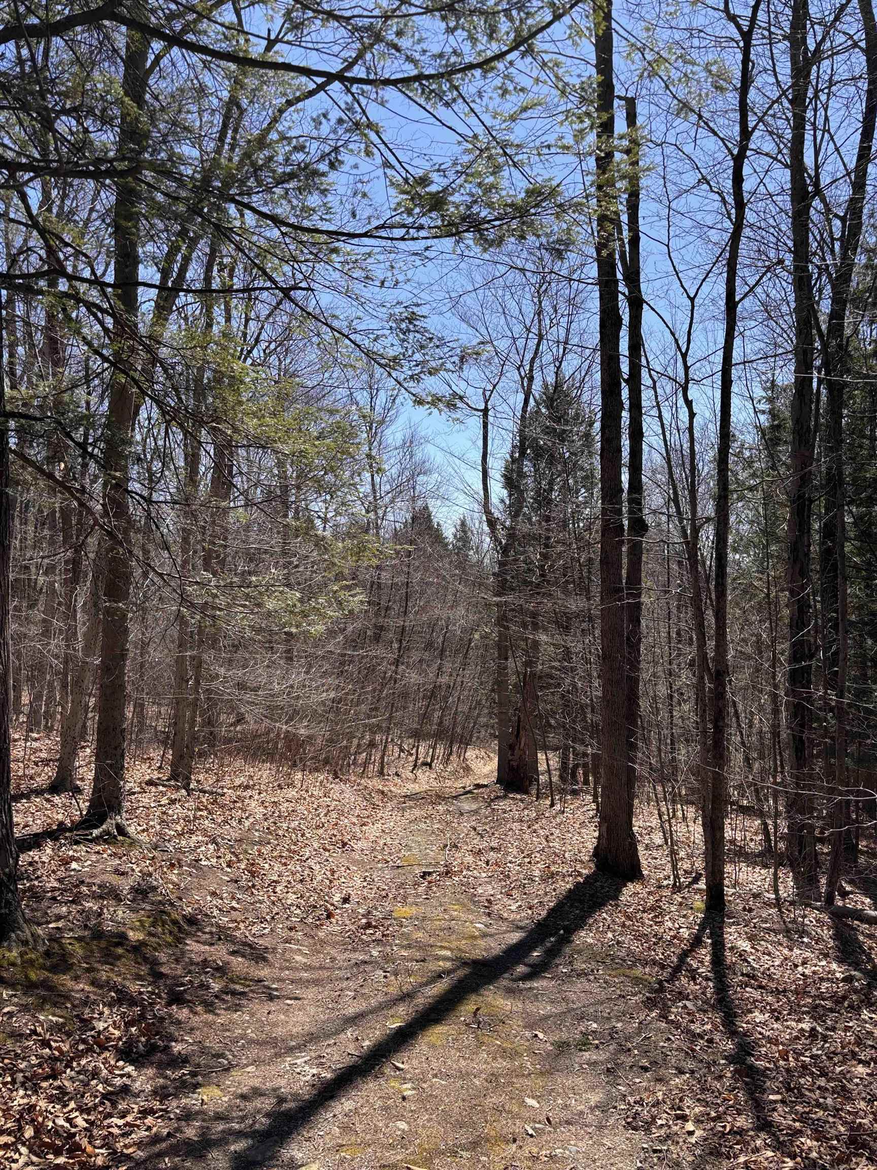 52 Duncan Road Hancock, NH 03449 - Photo 25 of 52