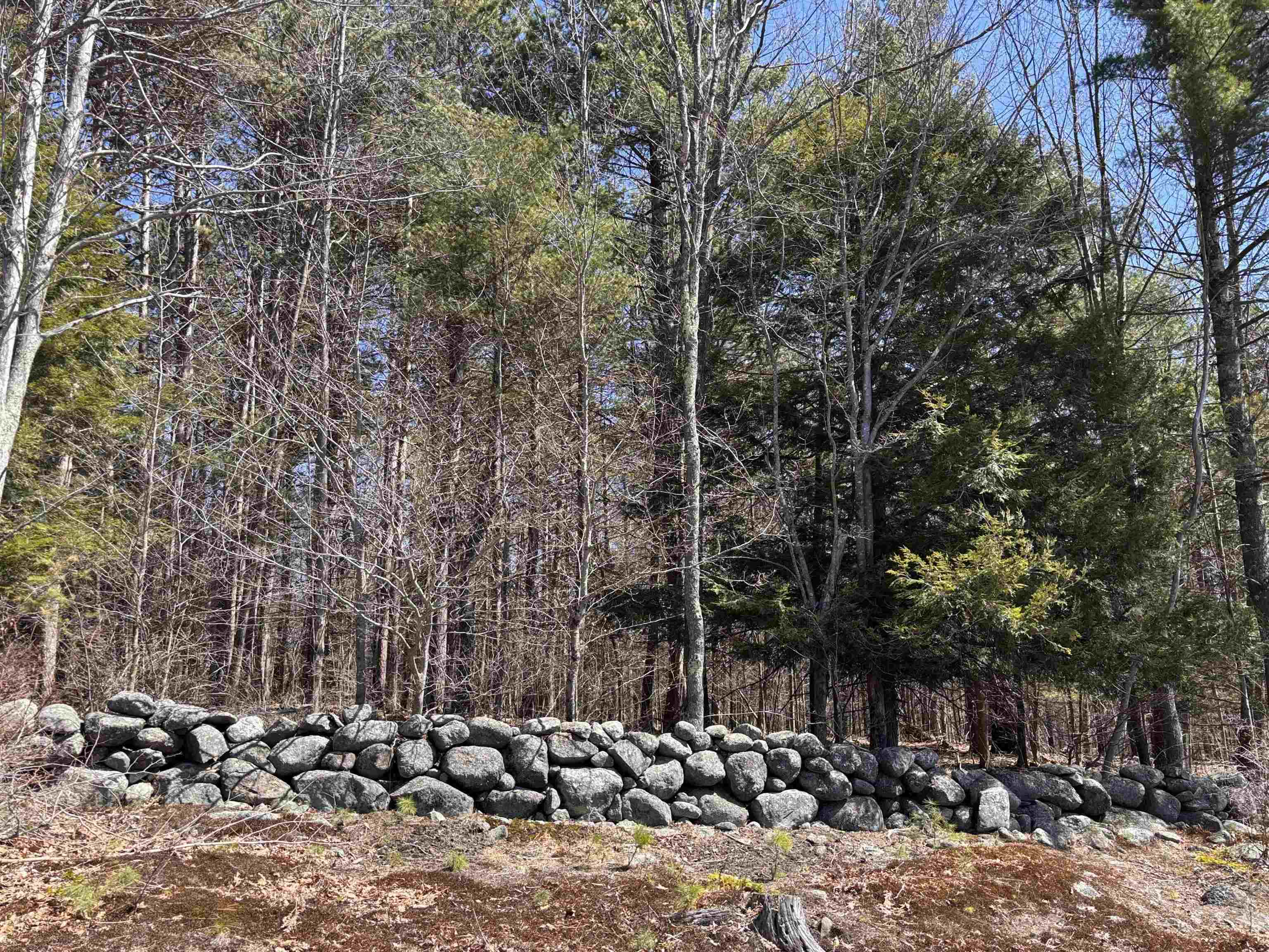 52 Duncan Road Hancock, NH 03449 - Photo 29 of 52