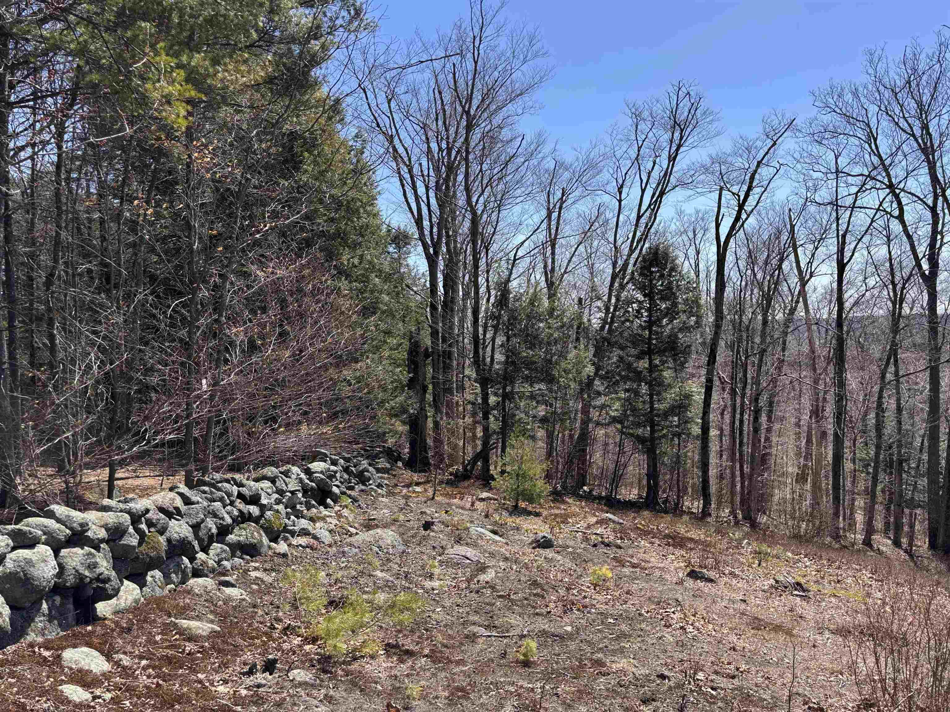 52 Duncan Road Hancock, NH 03449 - Photo 30 of 52