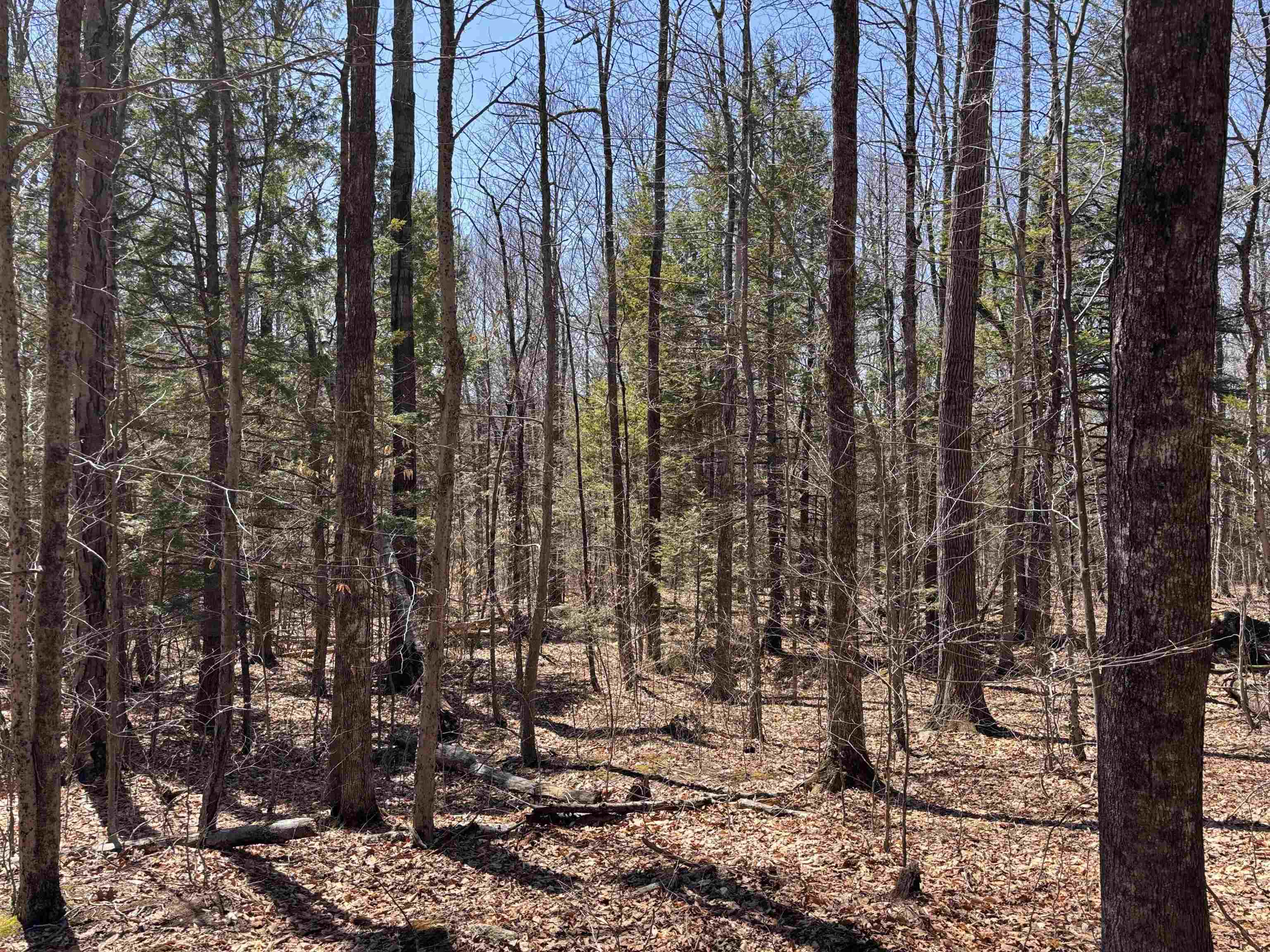 52 Duncan Road Hancock, NH 03449 - Photo 38 of 52