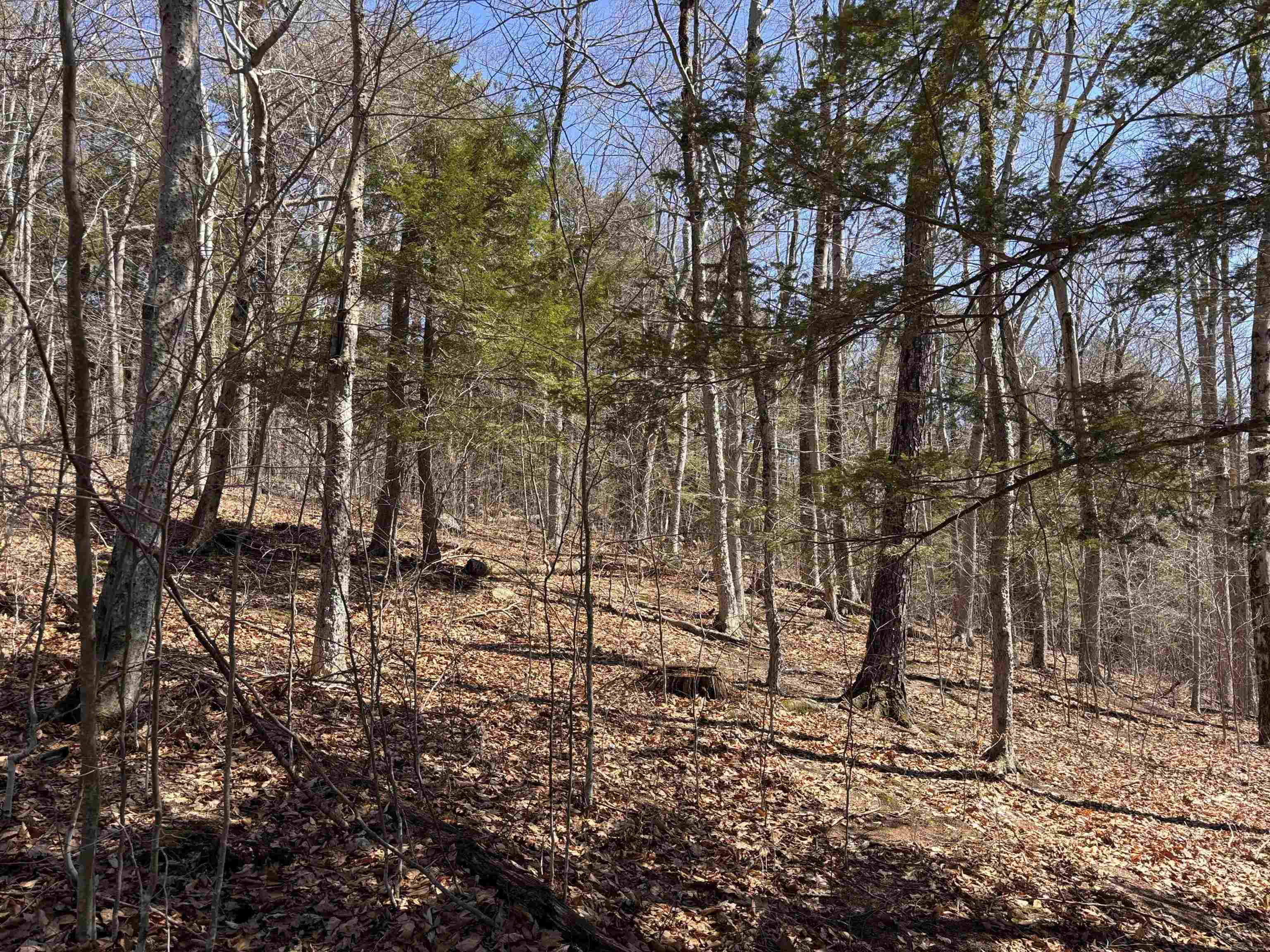 52 Duncan Road Hancock, NH 03449 - Photo 39 of 52