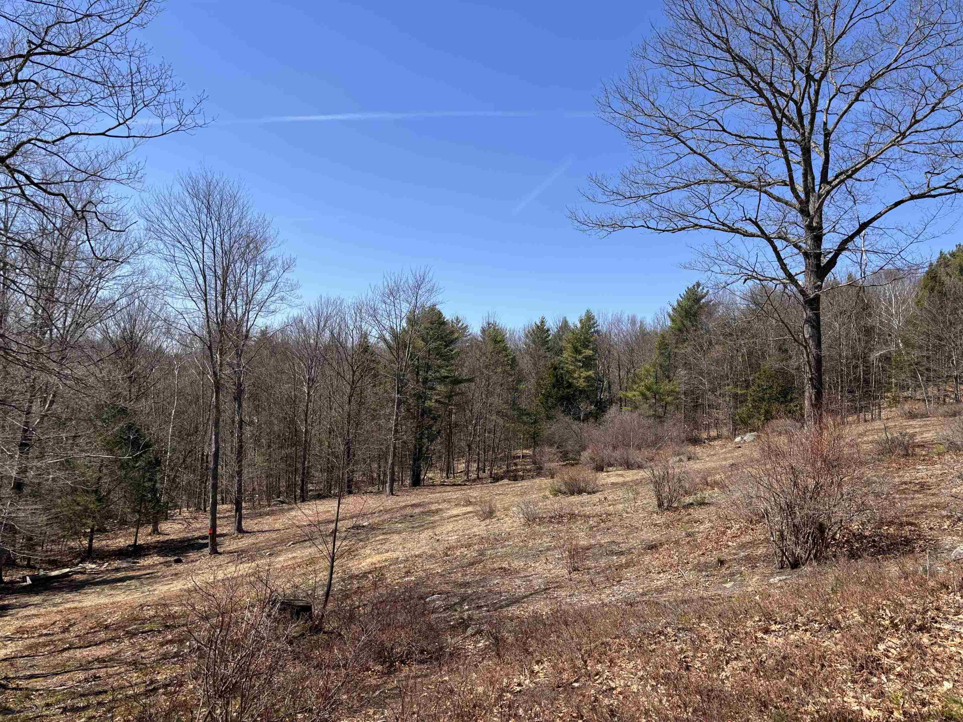 52 Duncan Road Hancock, NH 03449 - Photo 40 of 52