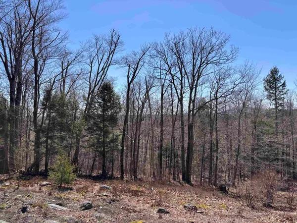 $285,000 | 52 Duncan Road, Hancock, NH 03449
