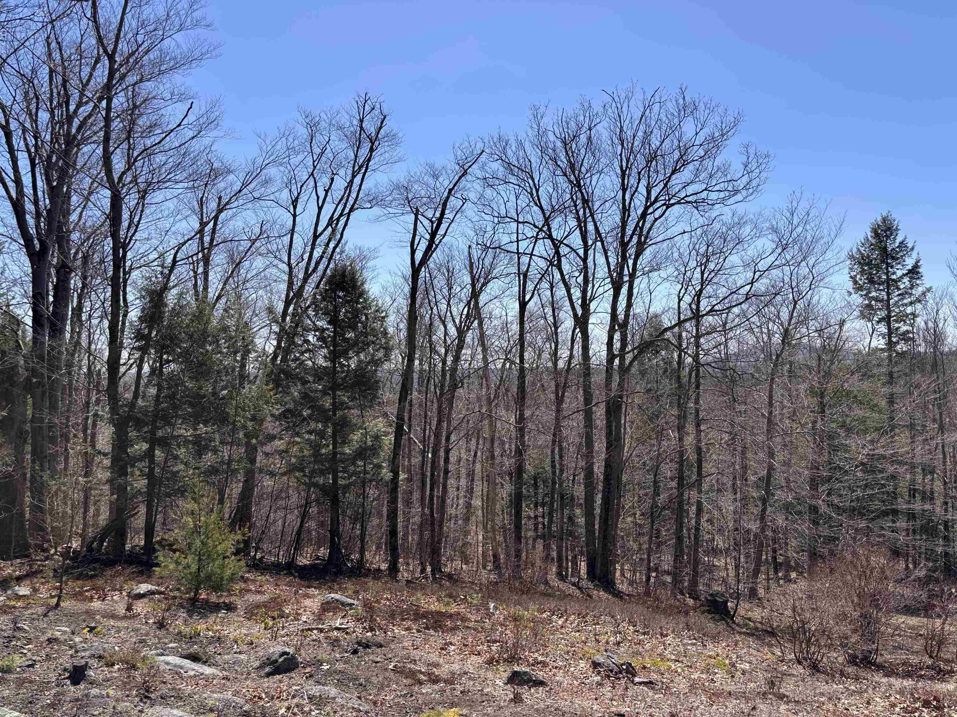 52 Duncan Road Hancock, NH 03449 - Photo 41 of 52