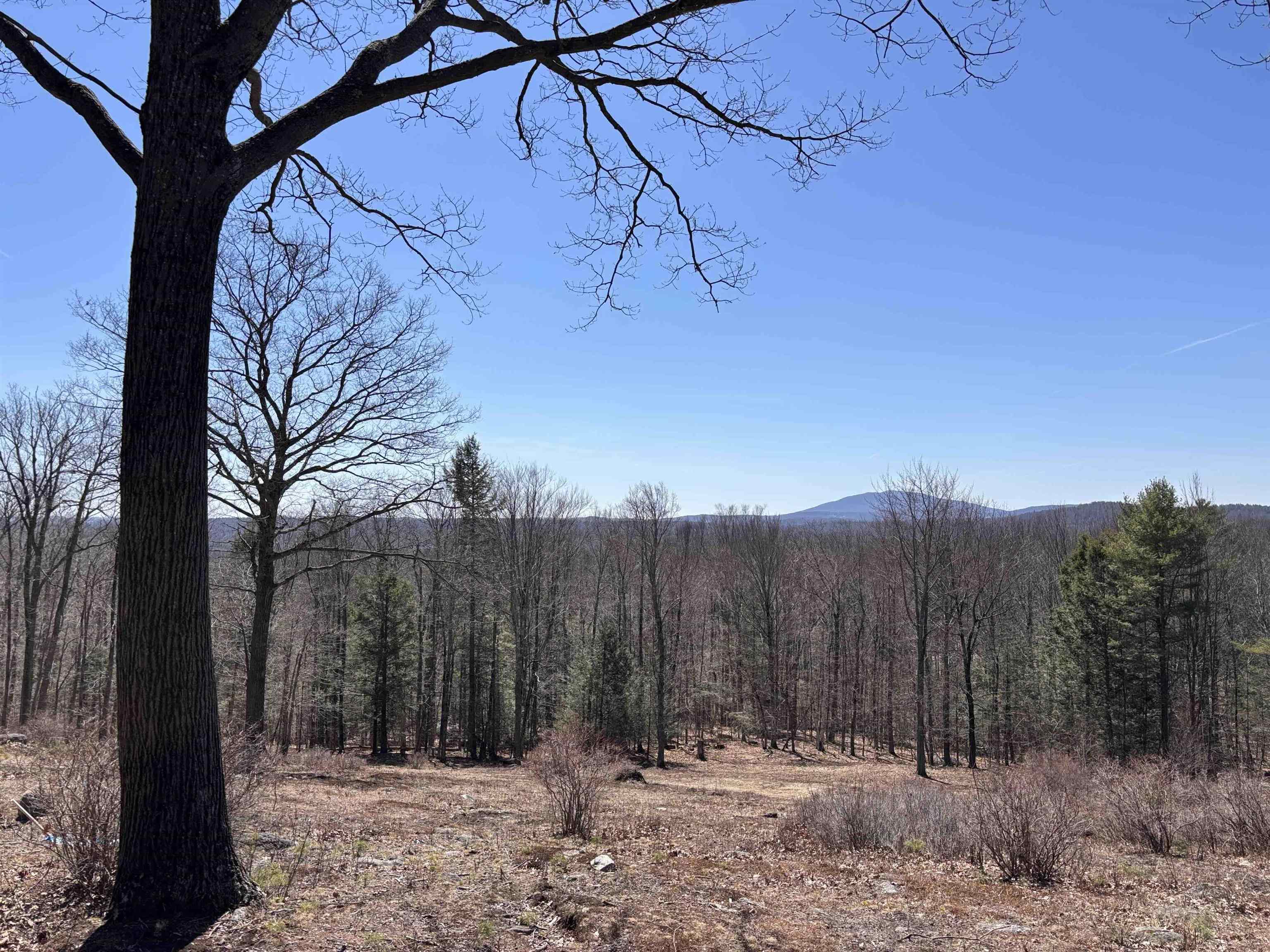 52 Duncan Road Hancock, NH 03449 - Photo 45 of 52