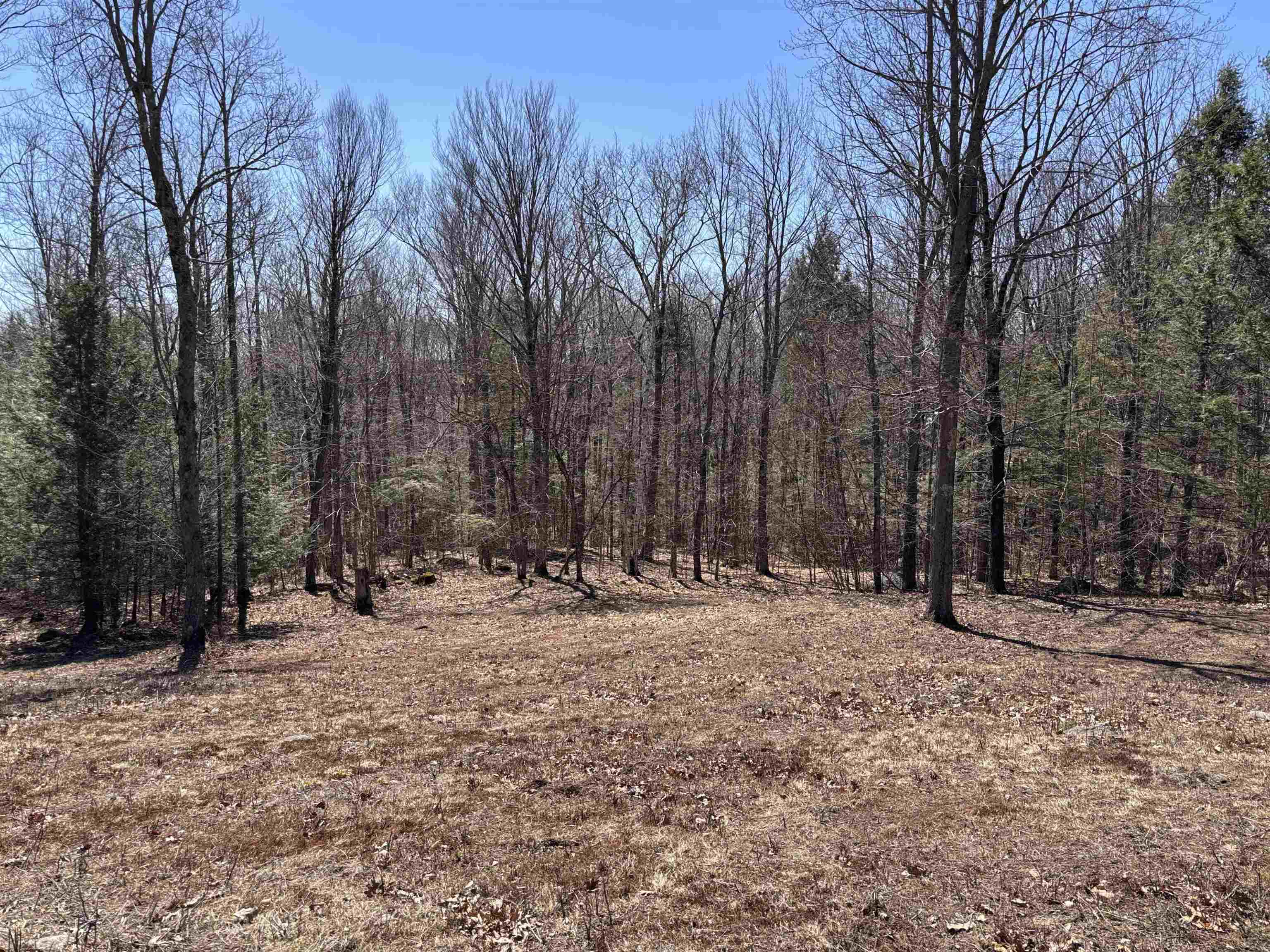 52 Duncan Road Hancock, NH 03449 - Photo 47 of 52