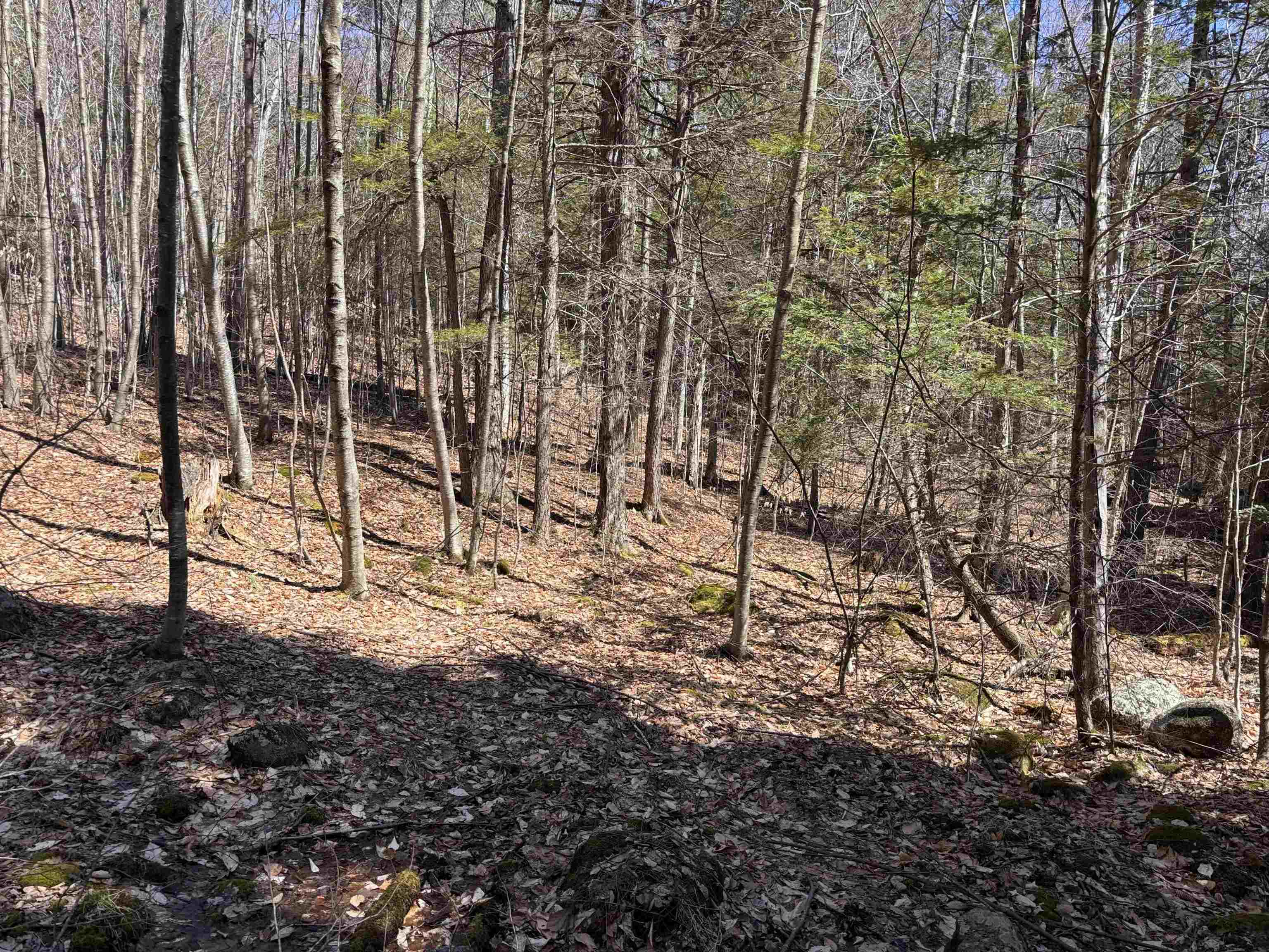 52 Duncan Road Hancock, NH 03449 - Photo 49 of 52