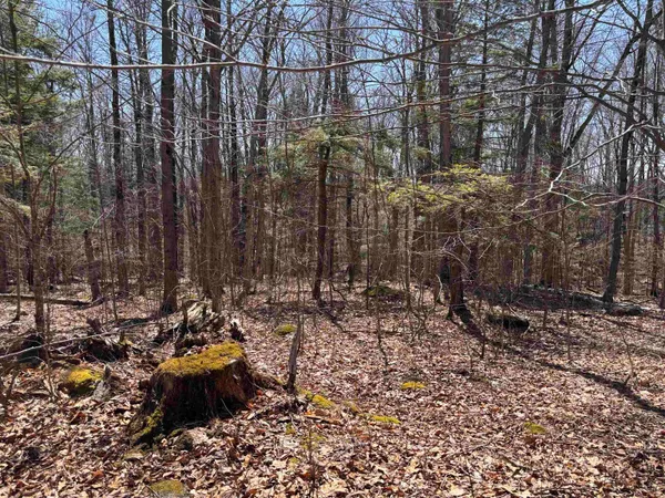 $285,000 | 52 Duncan Road, Hancock, NH 03449
