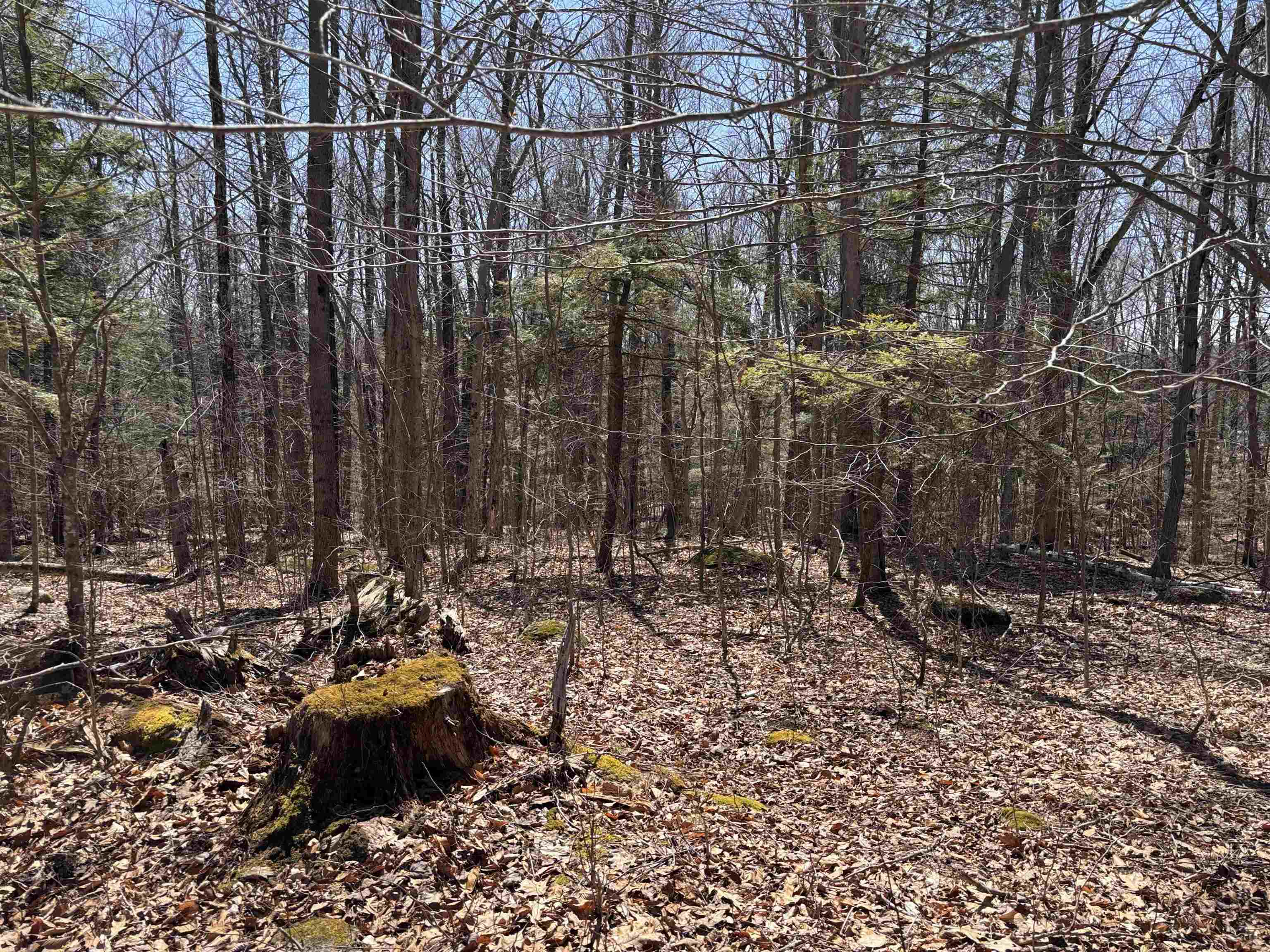 52 Duncan Road Hancock, NH 03449 - Photo 50 of 52