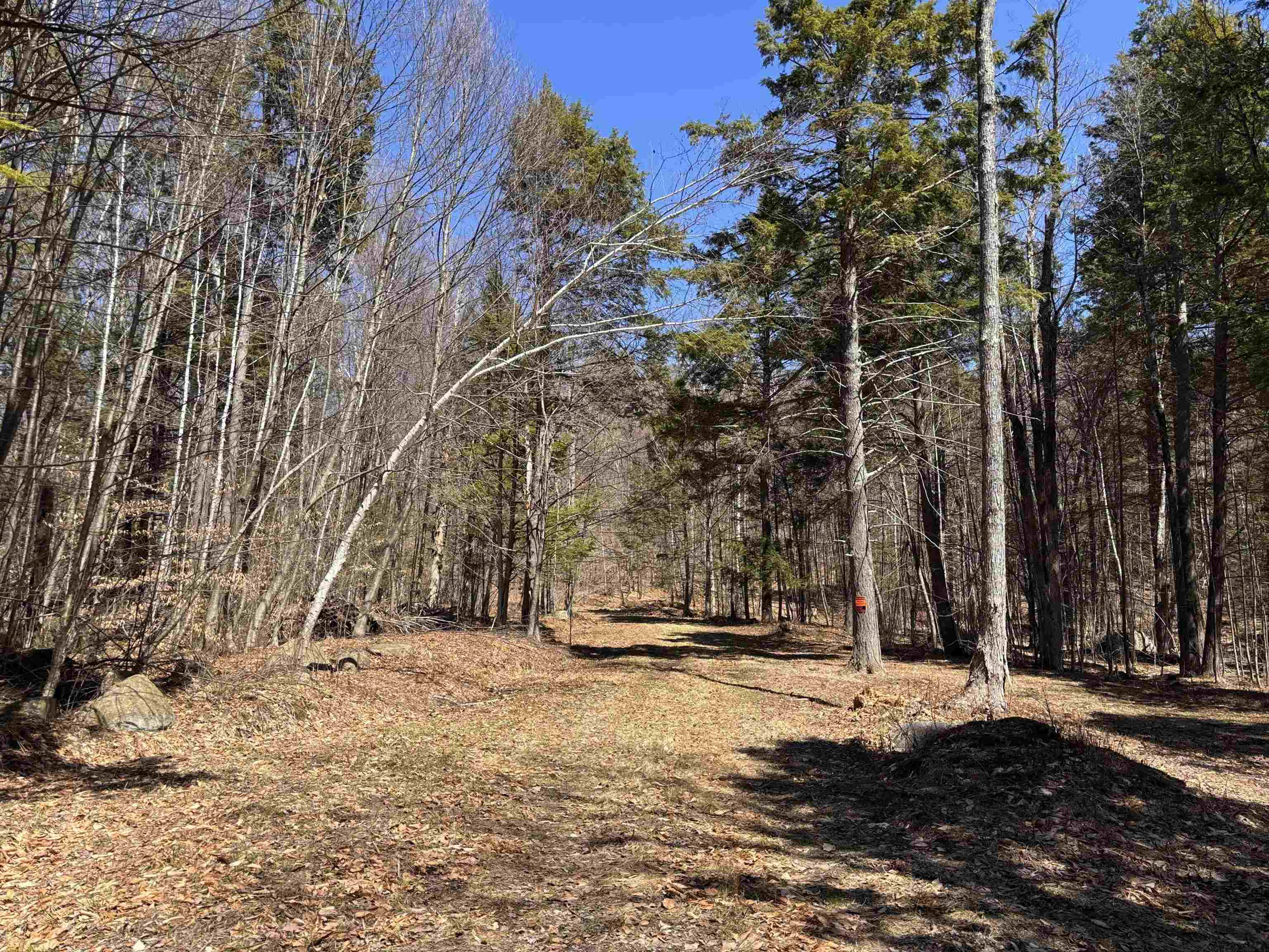 52 Duncan Road Hancock, NH 03449 - Photo 5 of 52