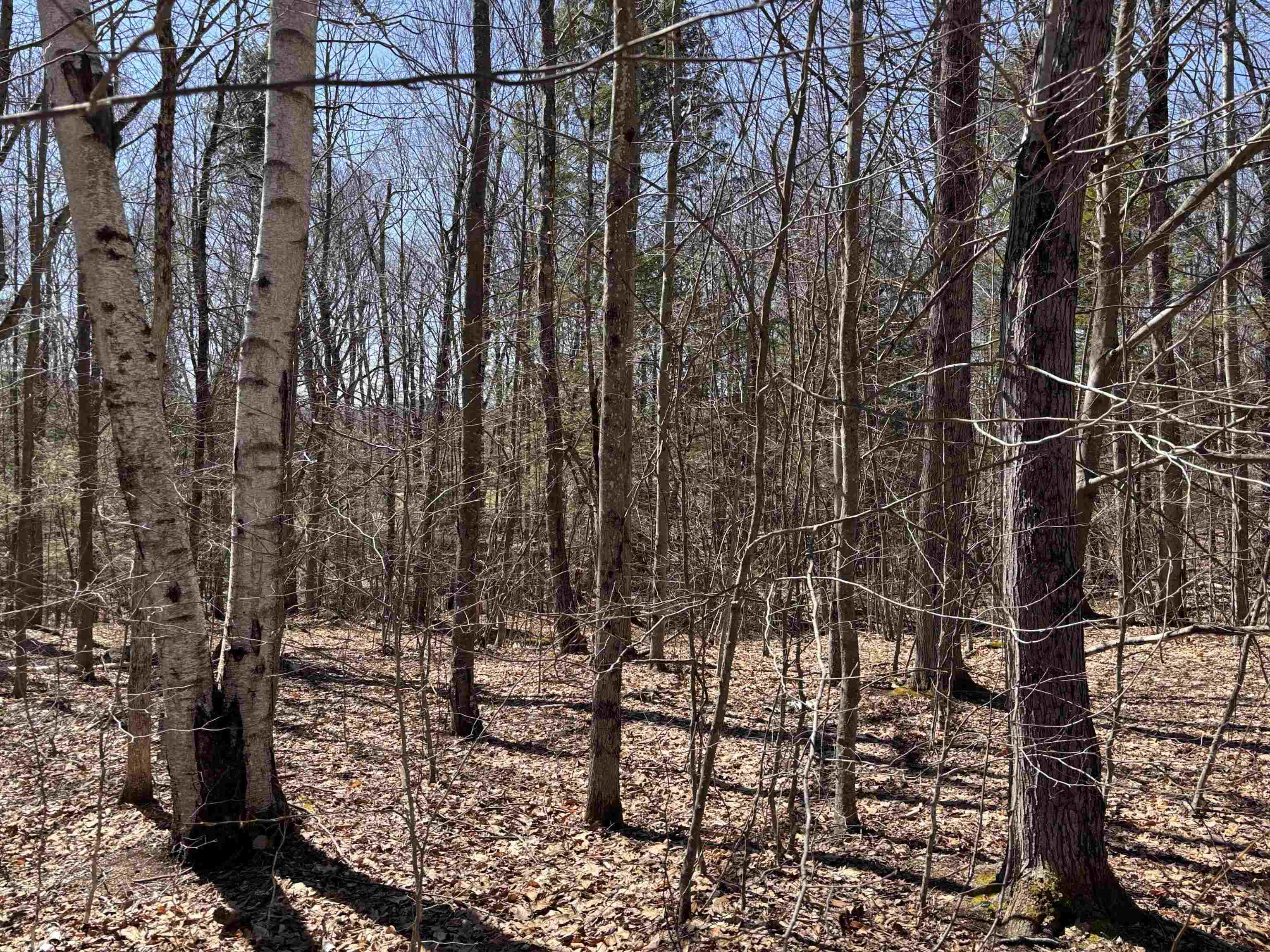 52 Duncan Road Hancock, NH 03449 - Photo 51 of 52