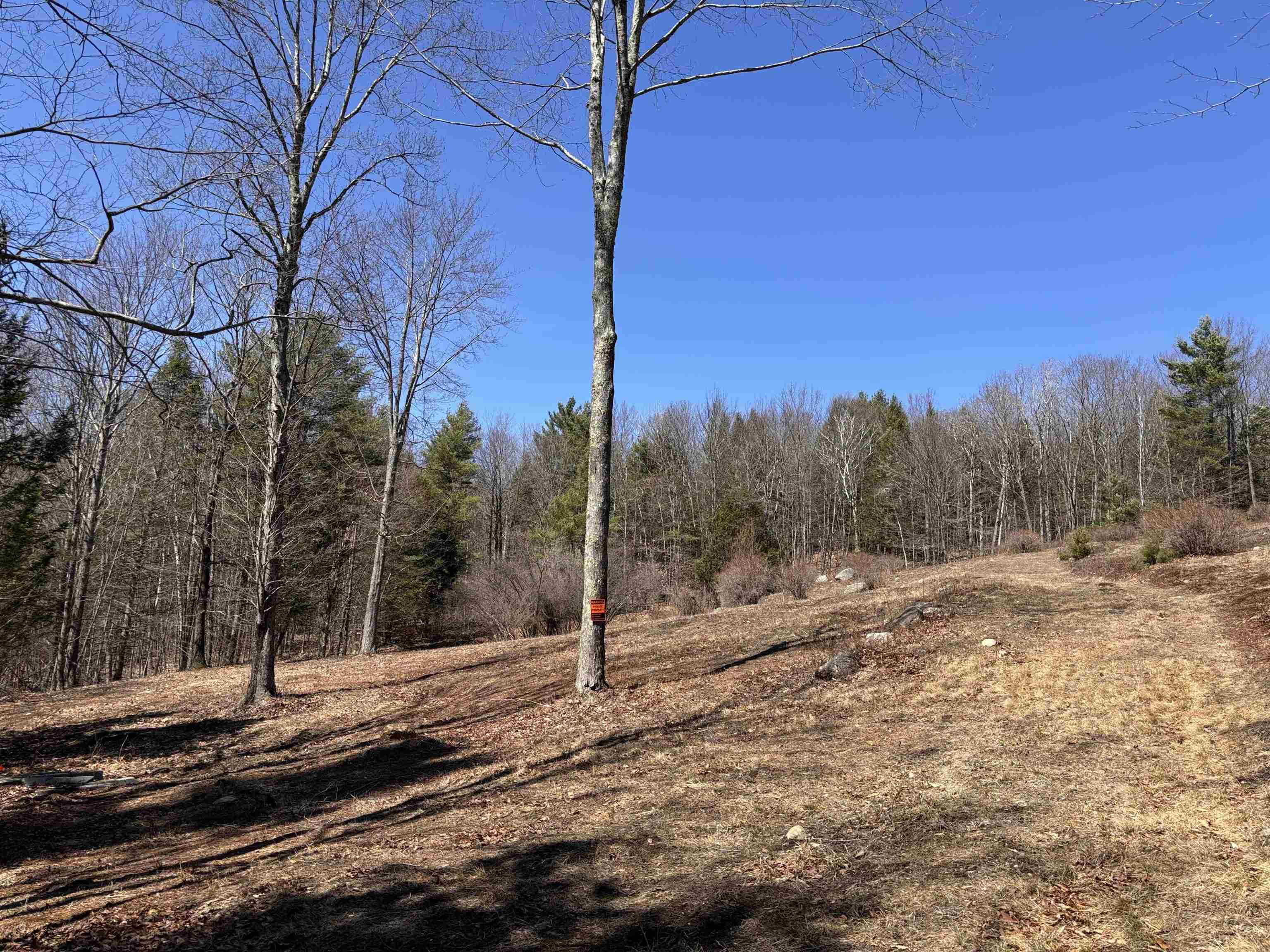 52 Duncan Road Hancock, NH 03449 - Photo 7 of 52