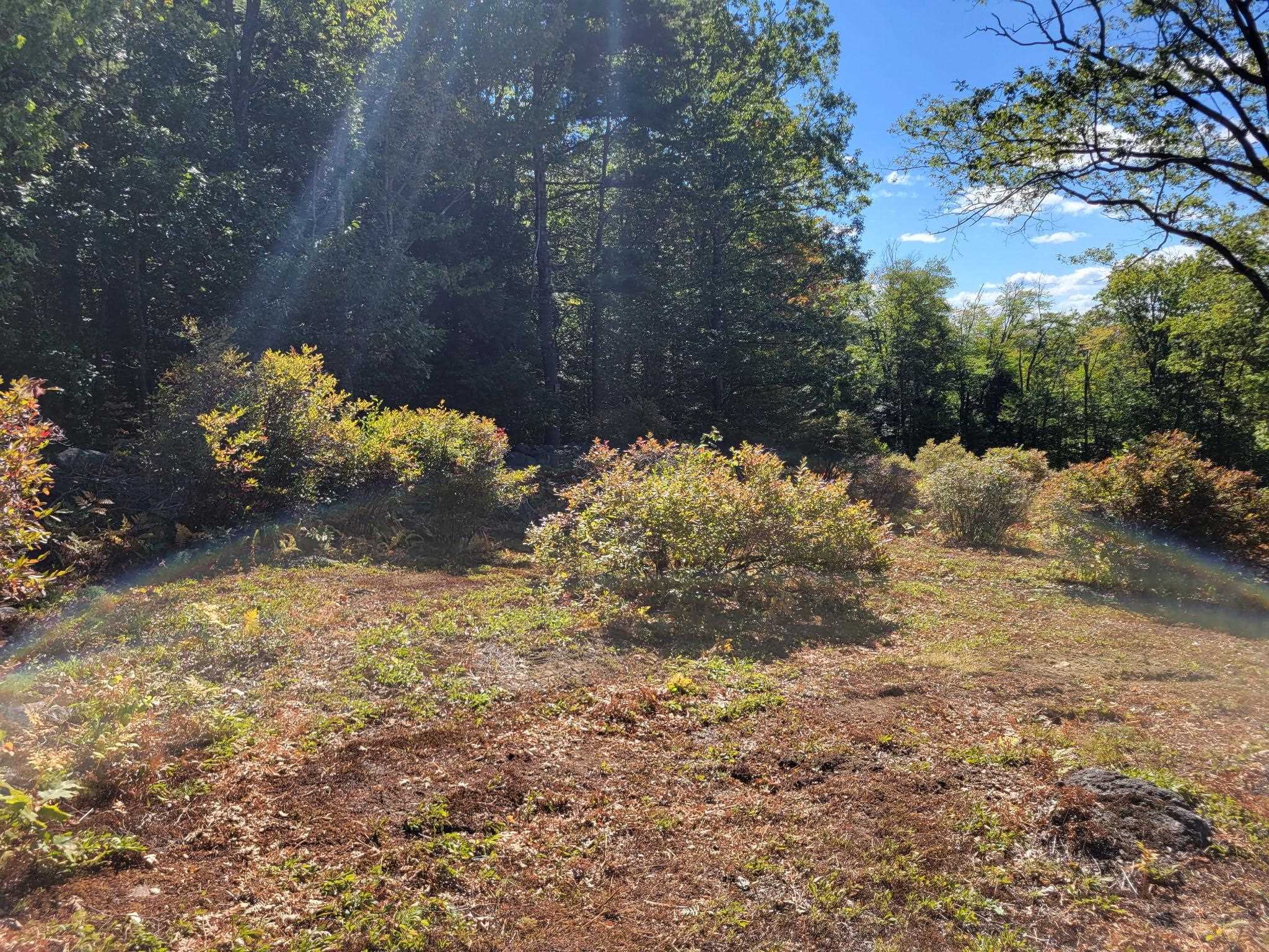 52 Duncan Road Hancock, NH 03449 - Photo 10 of 52
