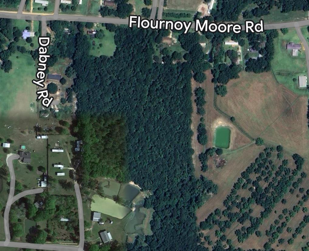 0 Flournoy Moore Road Dothan, AL 36301 - Photo 3 of 3