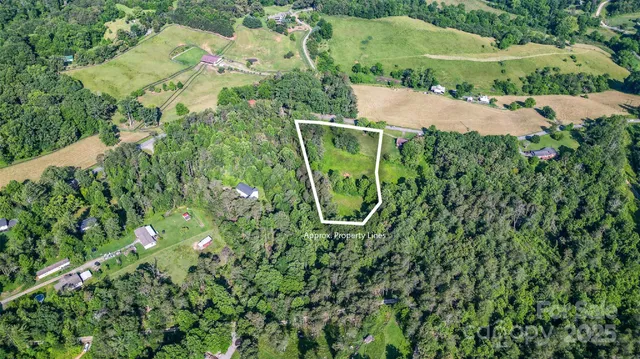 a view of a plant in a garden