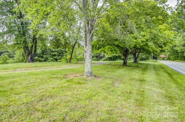 a view of a field with a tree