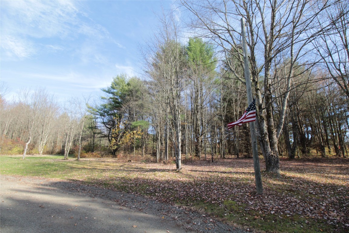192 Monkey Run Road Port Crane, NY 13833 - Photo 46 of 50 Gallery Image 46