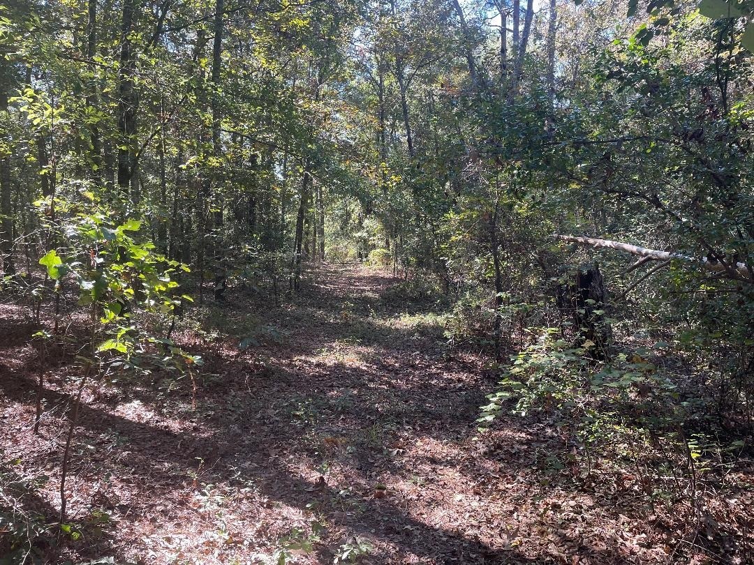 0 Gus Perdue Road Wrens, GA 30833 - Photo 1 of 1