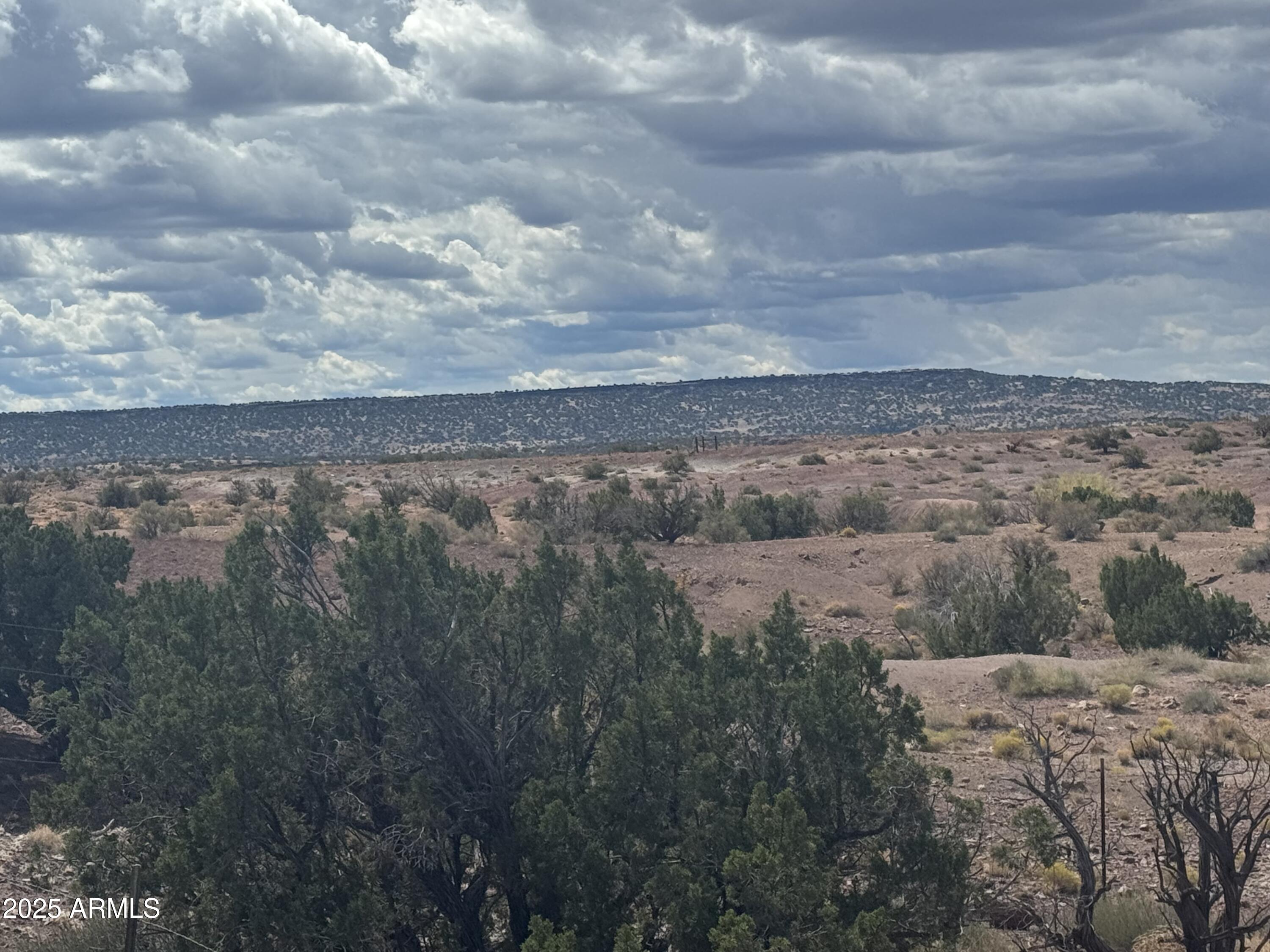 59 River Springs Ranch, Unit 59 St. Johns, AZ 85936 - Photo 1 of 21 a view of a dry yard with trees