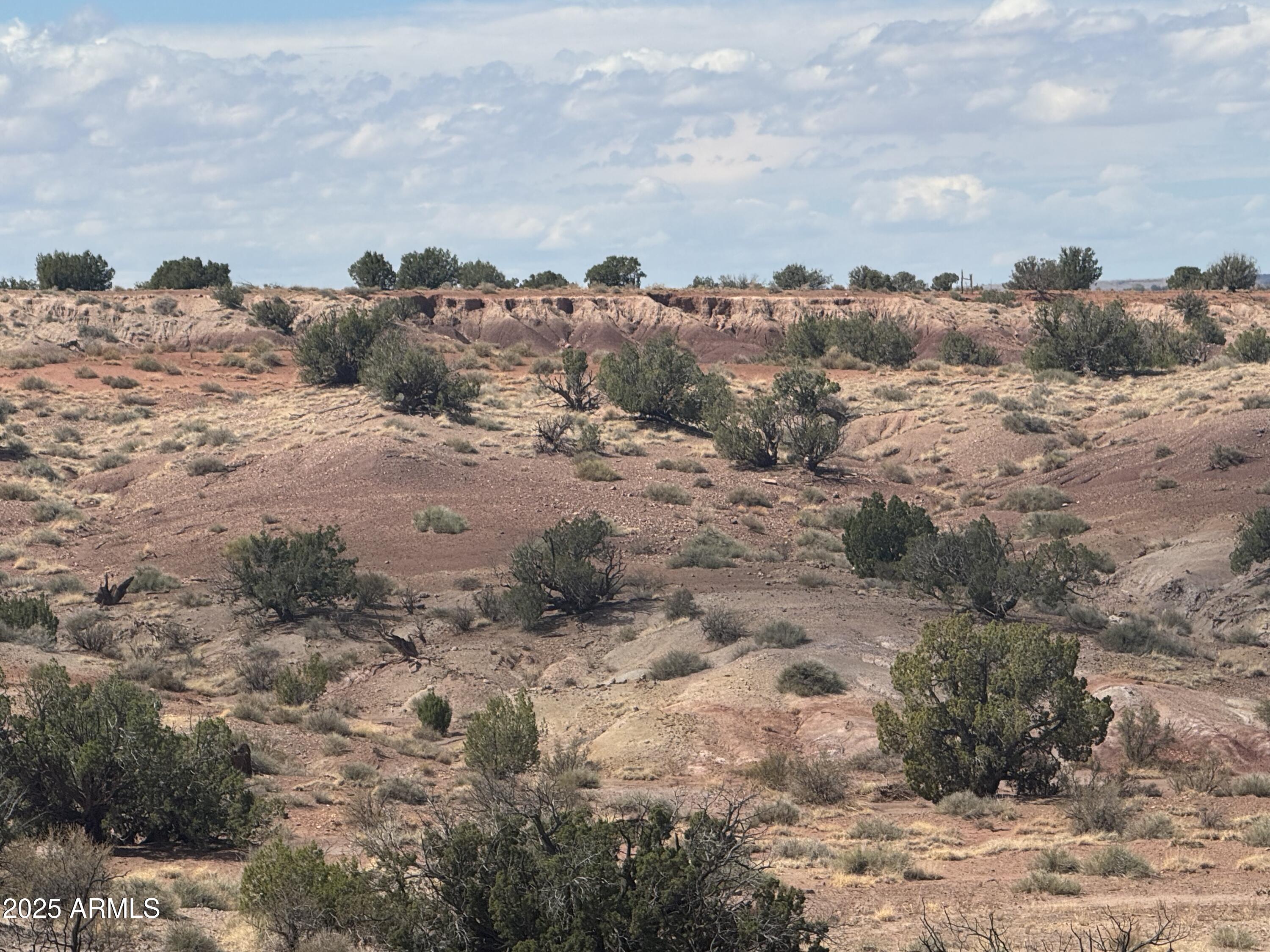 59 River Springs Ranch, Unit 59 St. Johns, AZ 85936 - Photo 3 of 21 a view of a dry yard with trees
