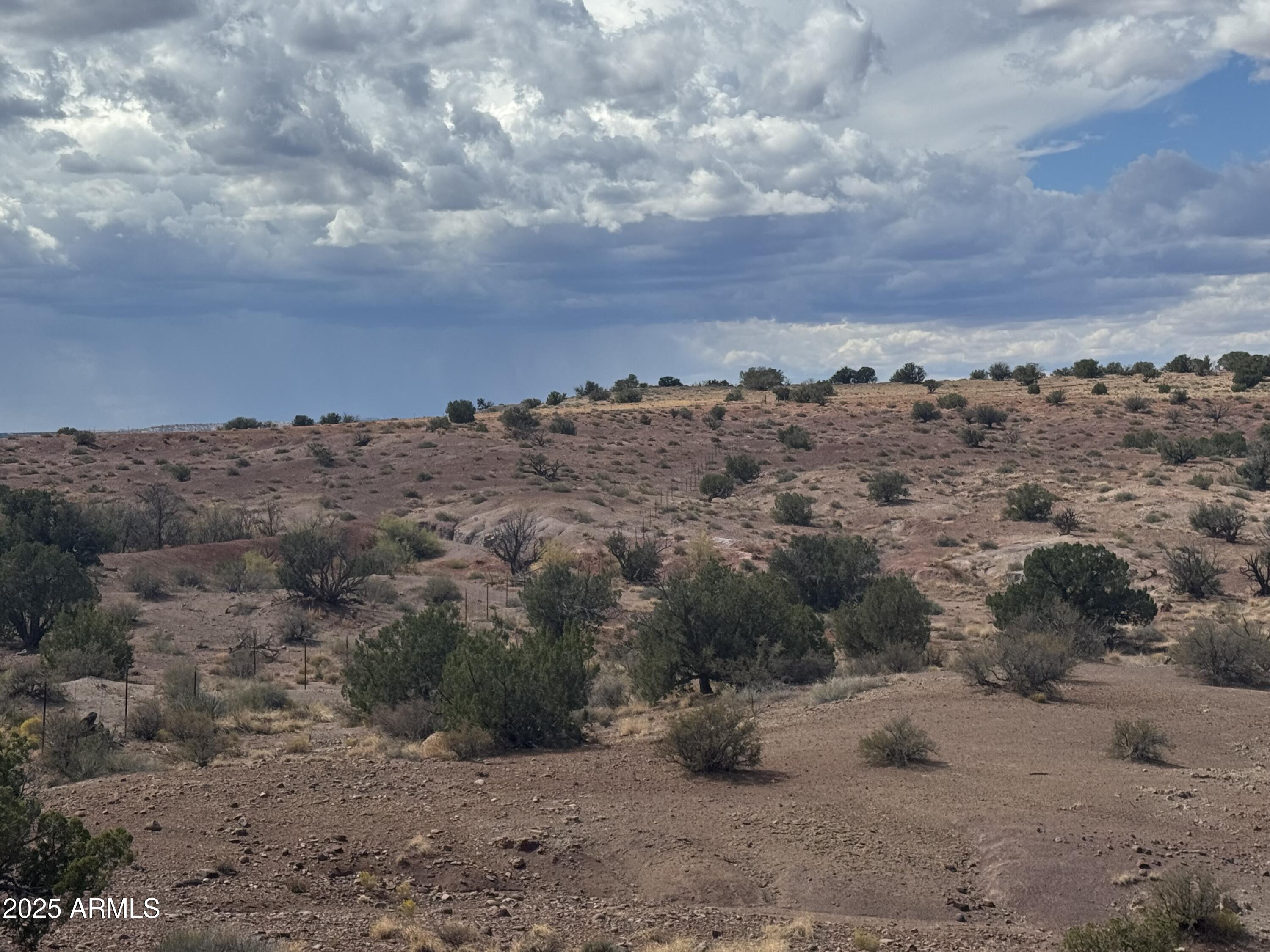 59 River Springs Ranch, Unit 59 St. Johns, AZ 85936 - Photo 5 of 21 a view of a sky view