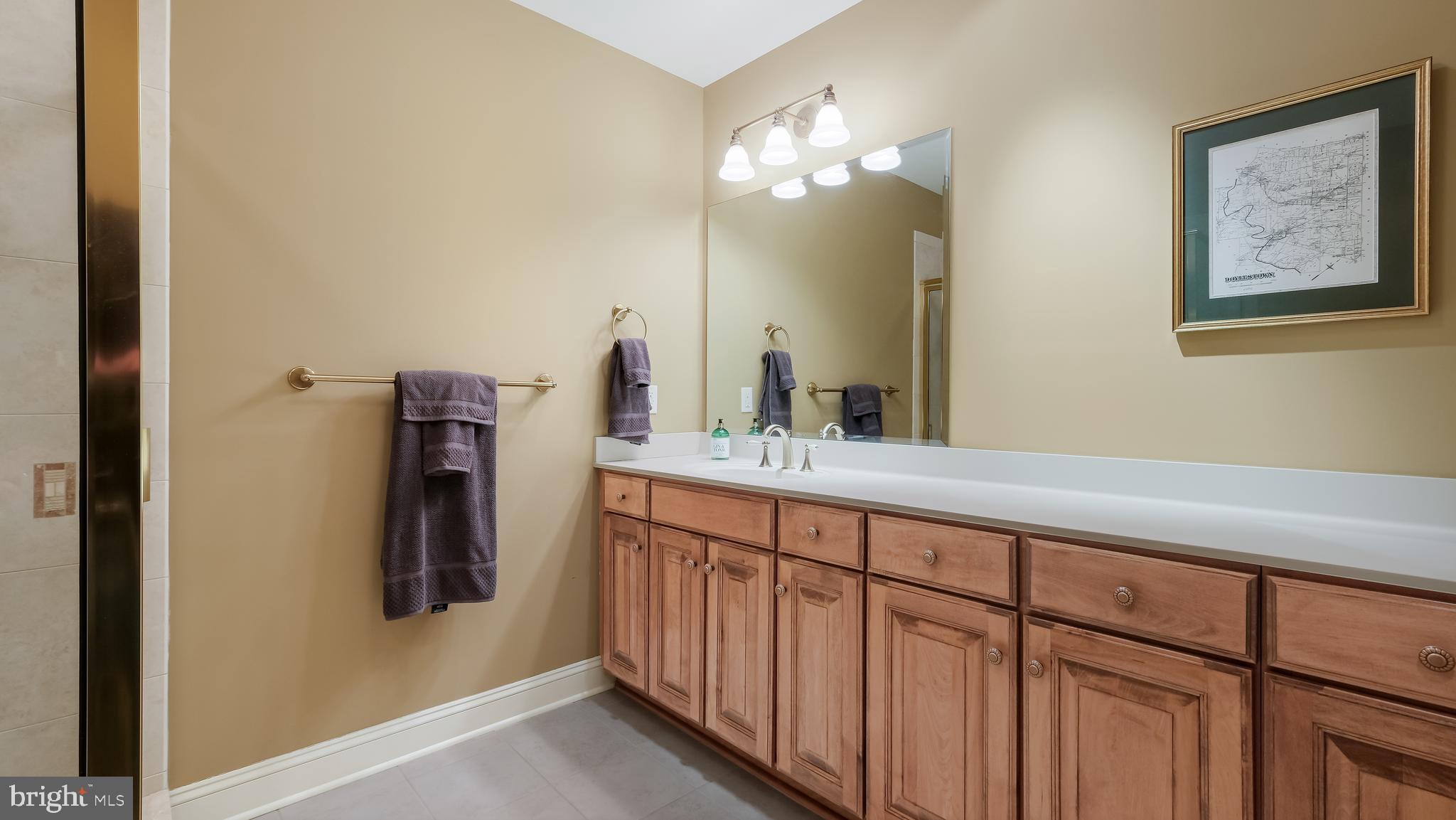 12 Garden Path Doylestown, PA 18901 - Photo 52 of 58 a bathroom with a sink and a mirror