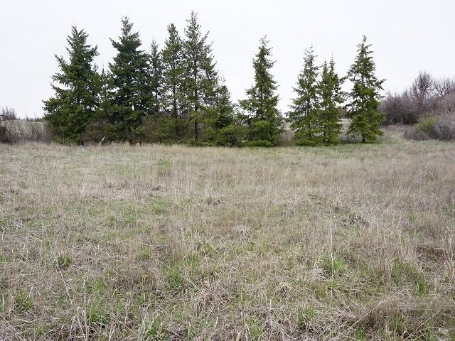 8802 West Trails Road Spokane, WA 99224 - Photo 17 of 22