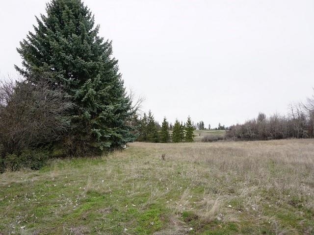 8802 West Trails Road Spokane, WA 99224 - Photo 10 of 22