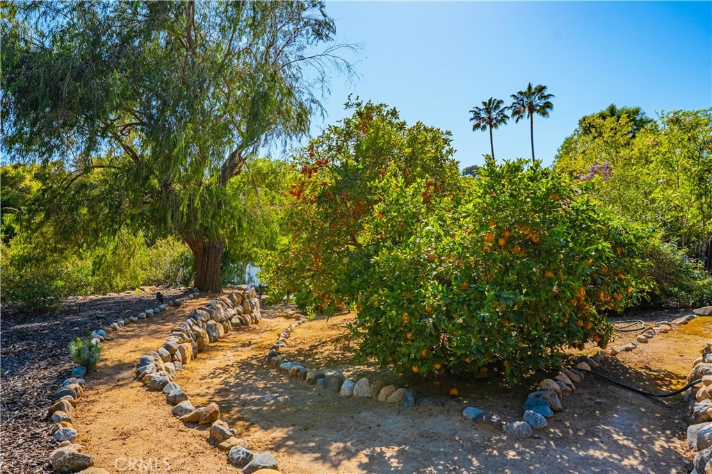 2490 Heyneman Hollow Fallbrook, CA 92028 - Photo 11 of 74