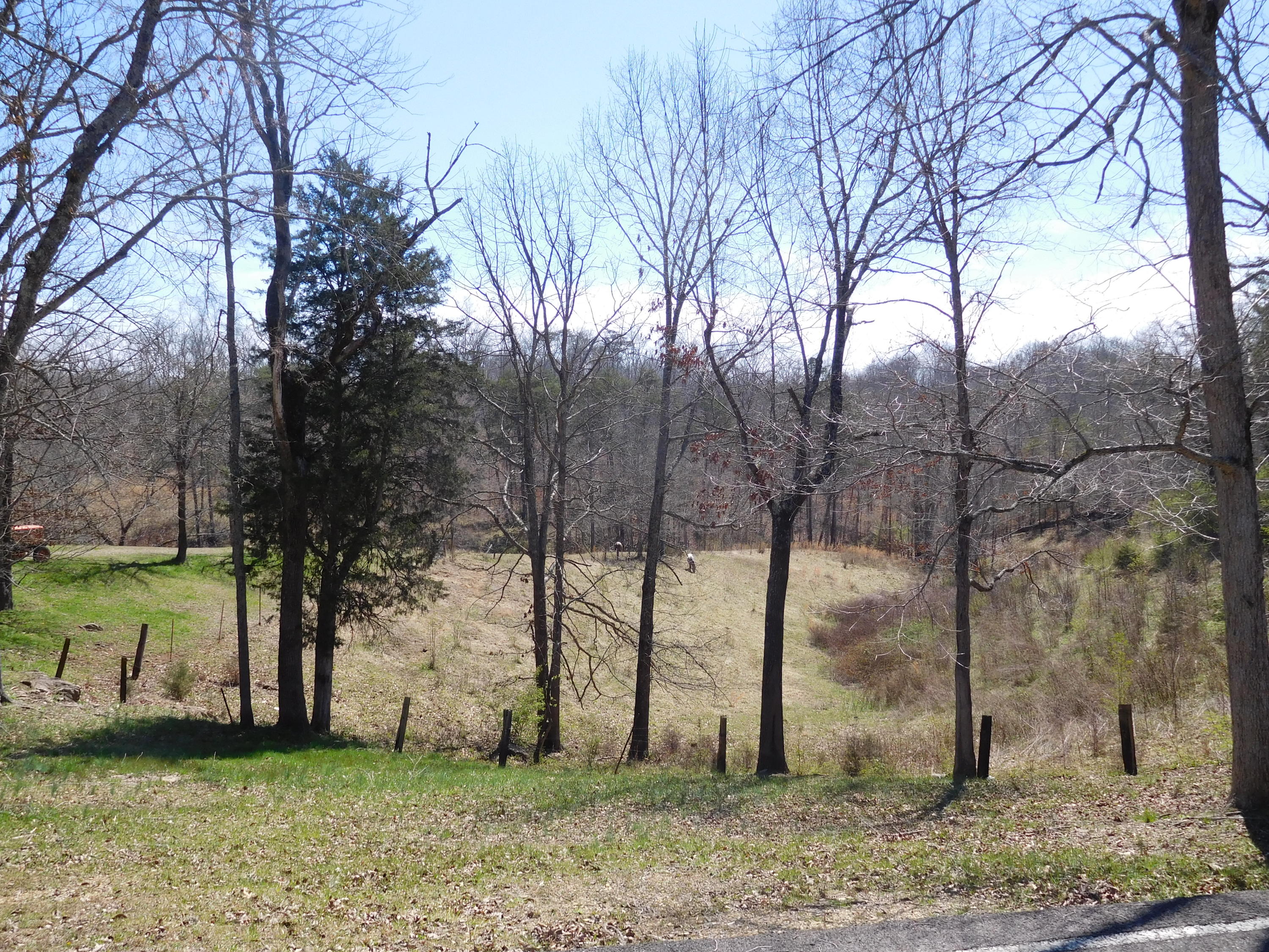 1520 Smith School Road Kodak, TN 37764 - Photo 6 of 8 DSCN1896