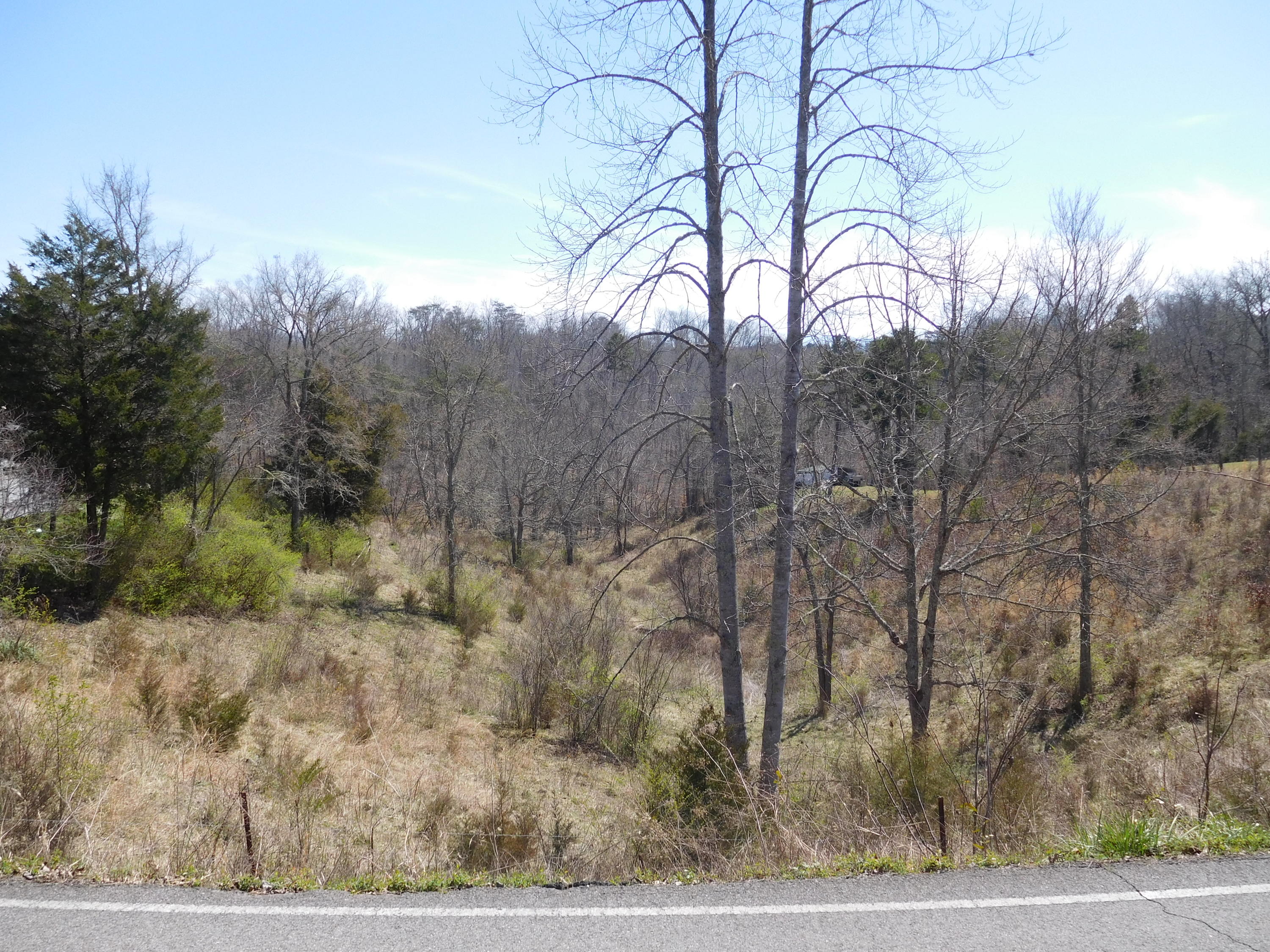 1520 Smith School Road Kodak, TN 37764 - Photo 7 of 8 DSCN1897