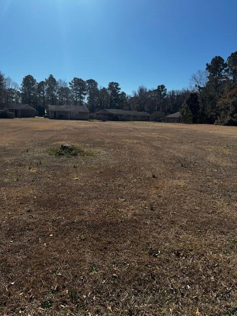 Tbd West Huggins Street Manning, SC 29102 - Photo 4 of 6