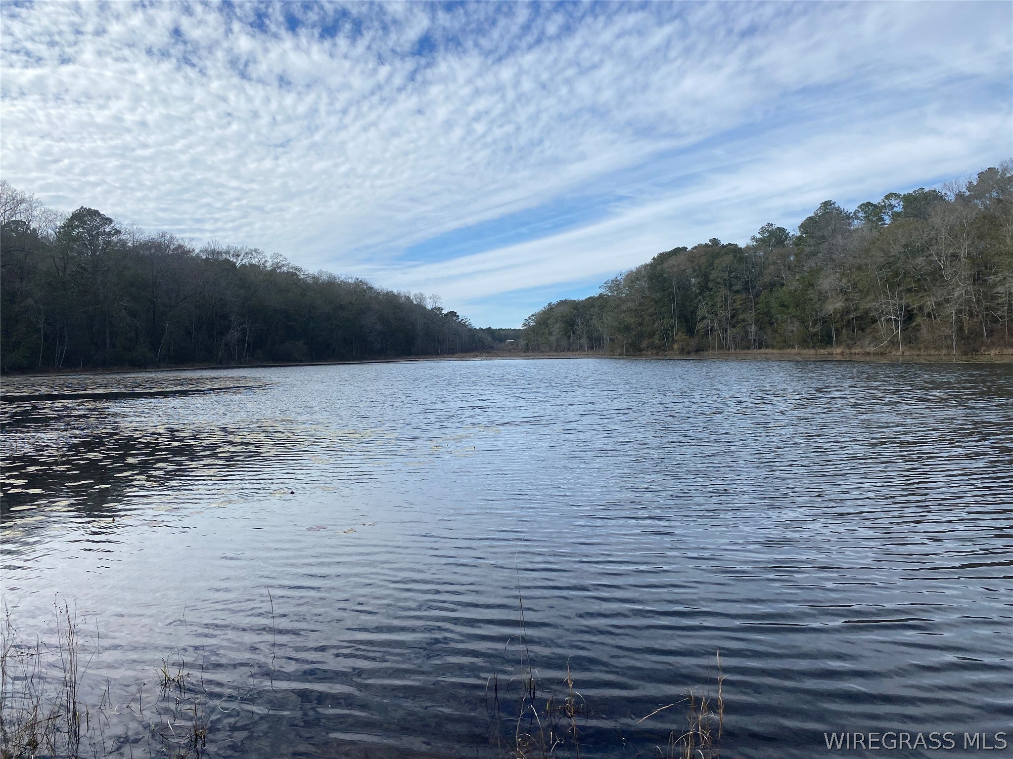 415 Lessie Culpepper Road Coffee Springs, AL 36318 - Photo 12 of 13 Gallery Image 12