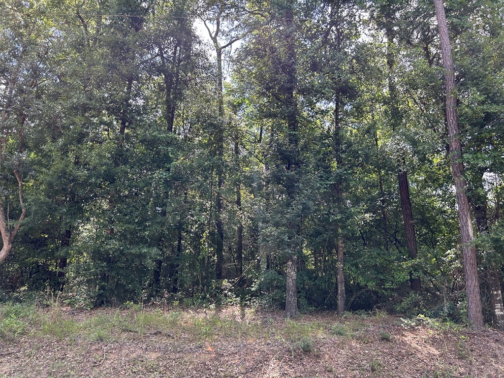 19.16-ac 19.16-ac Ramer Loop Cottonwood, AL 36320 - Photo 22 of 34